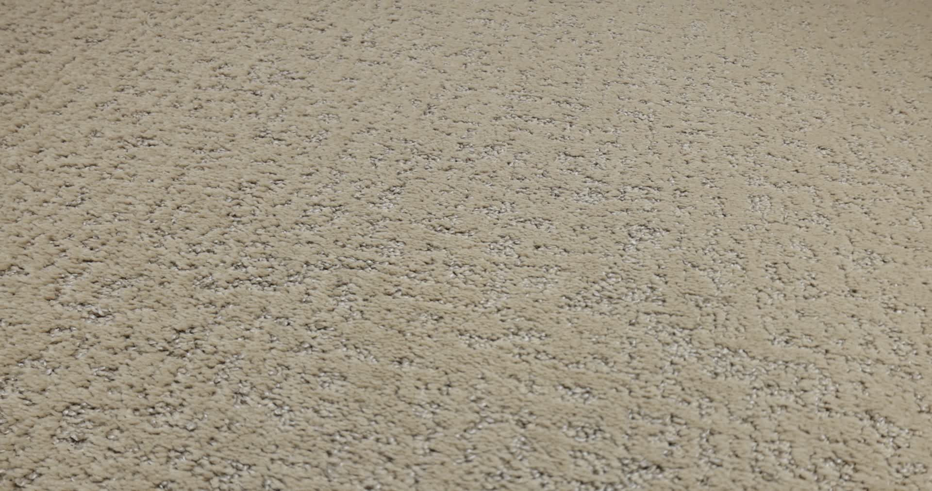 HOME WITHIN WORN PATH 360PROD