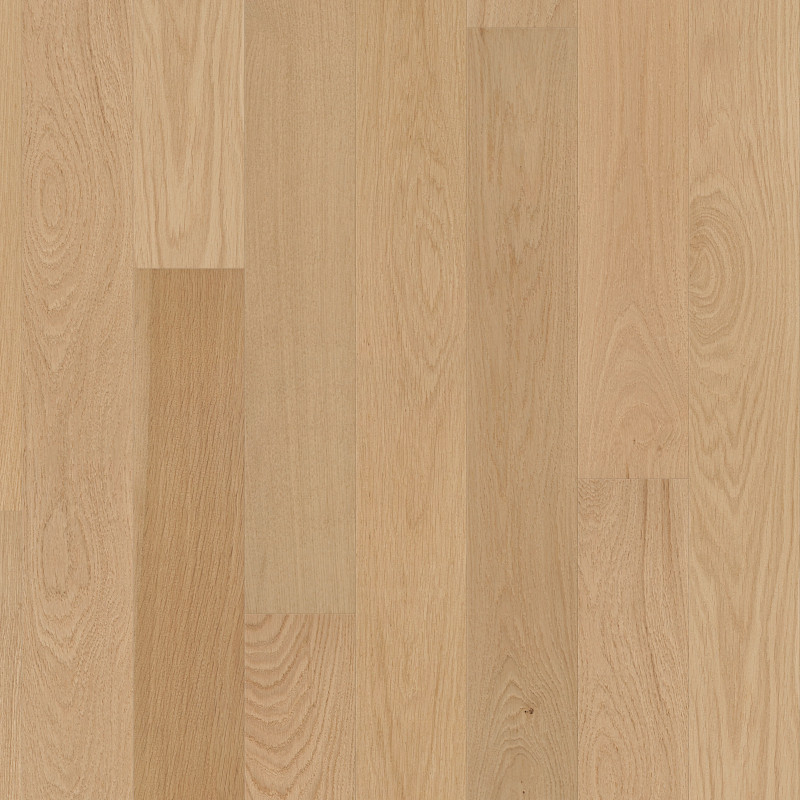 NATURAL CLASSICS WHITE OAK 5" in Natural White Oak by Shaw Floors