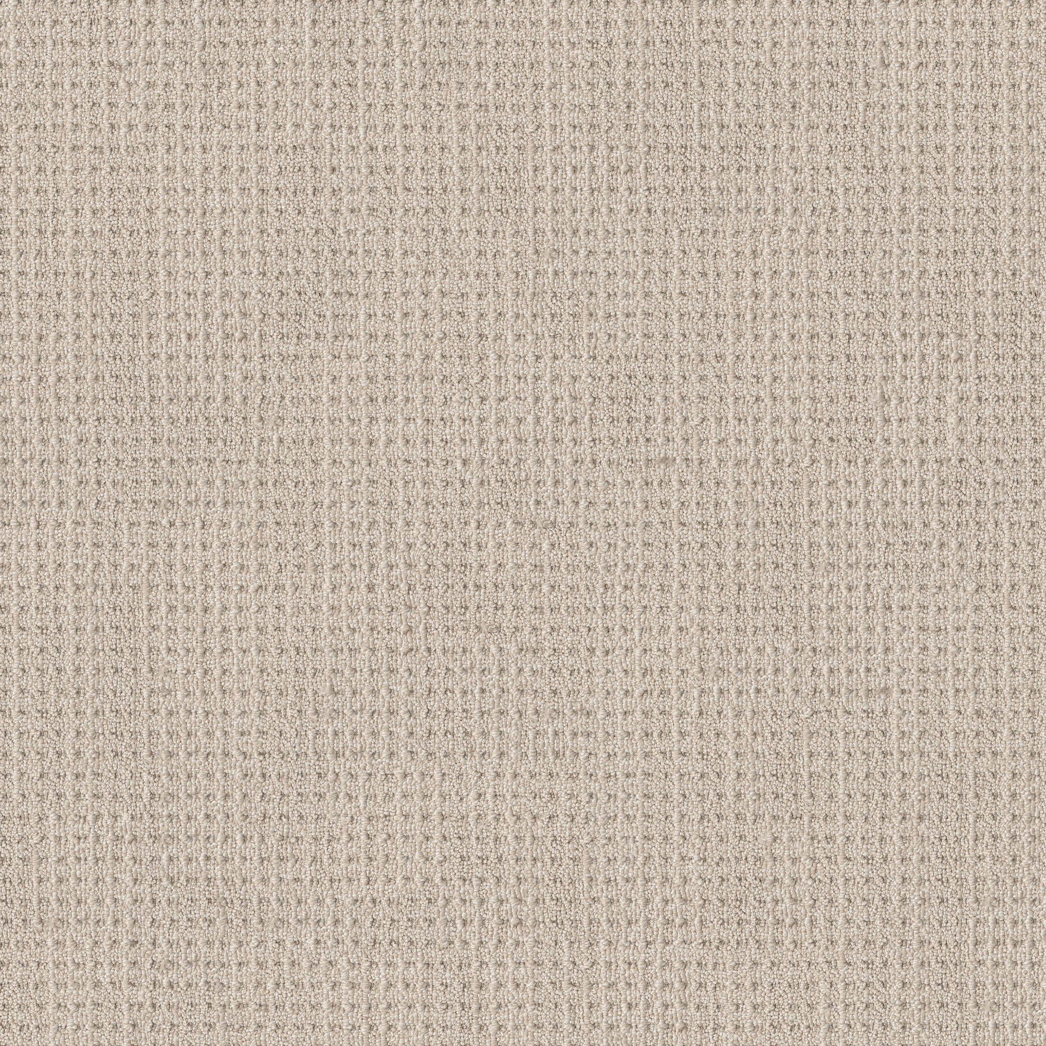 FINELY DETAILED WOOL BLANKET MAIN