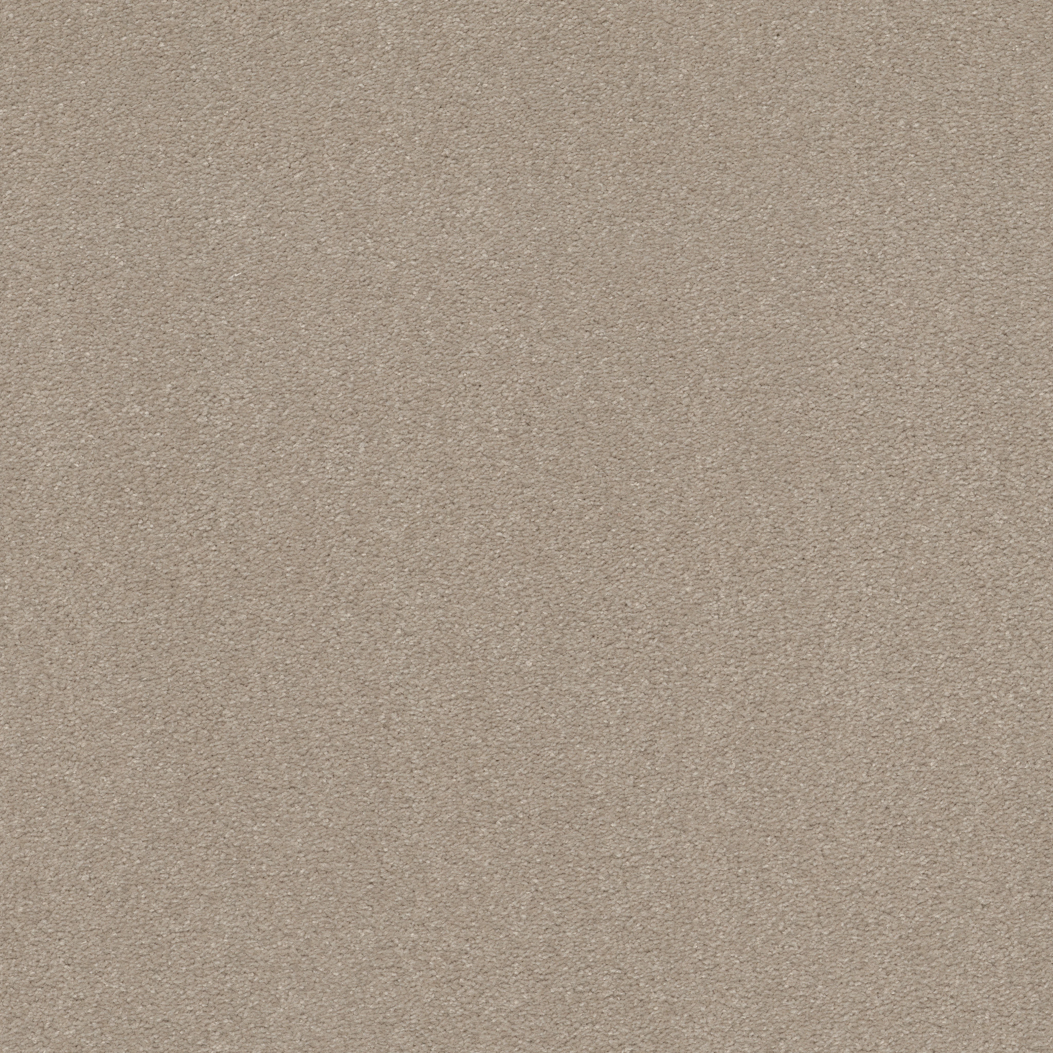 WELL GROUNDED II 15 DREAMY MAIN