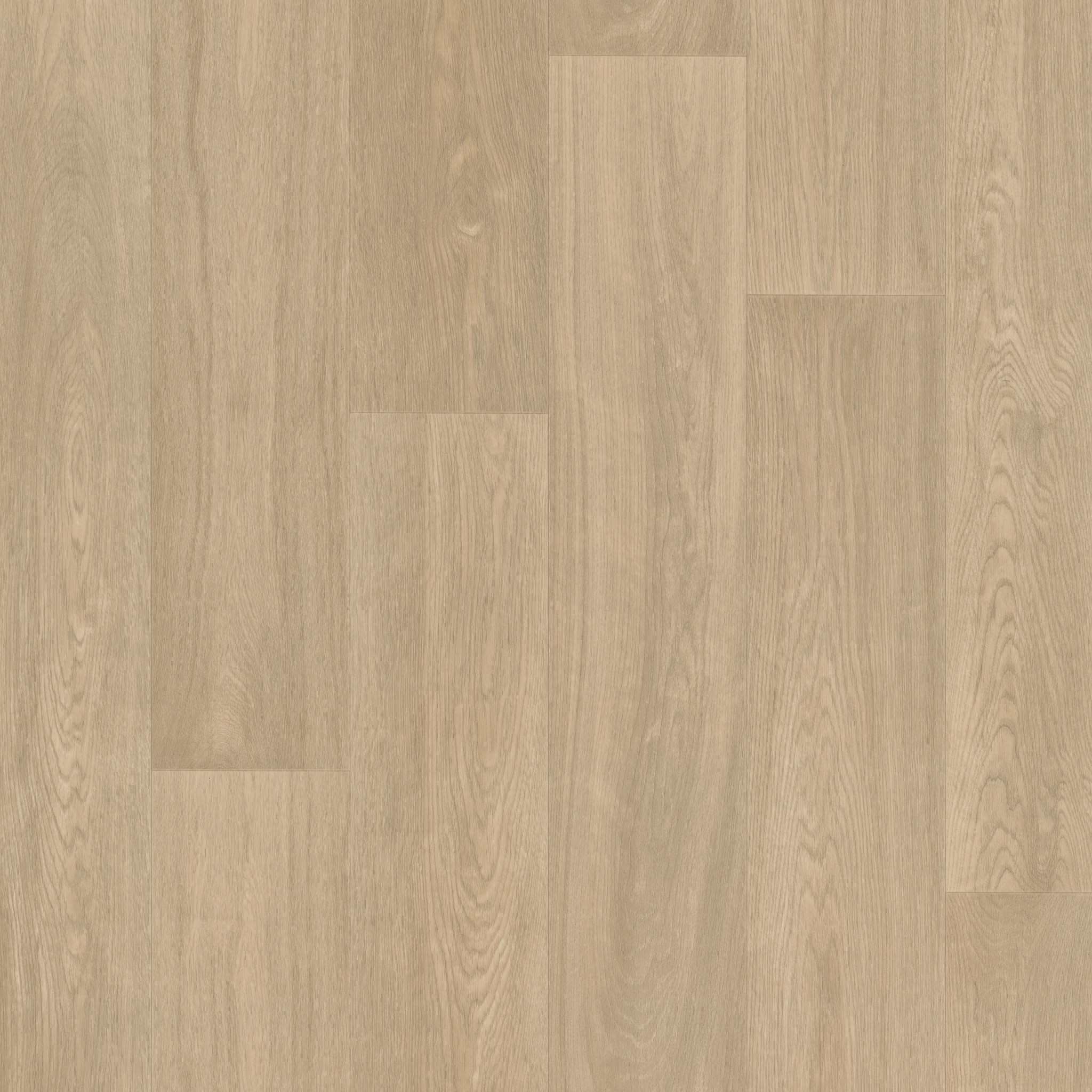 NEW HEIGHTS MOUNT VERNON MAIN