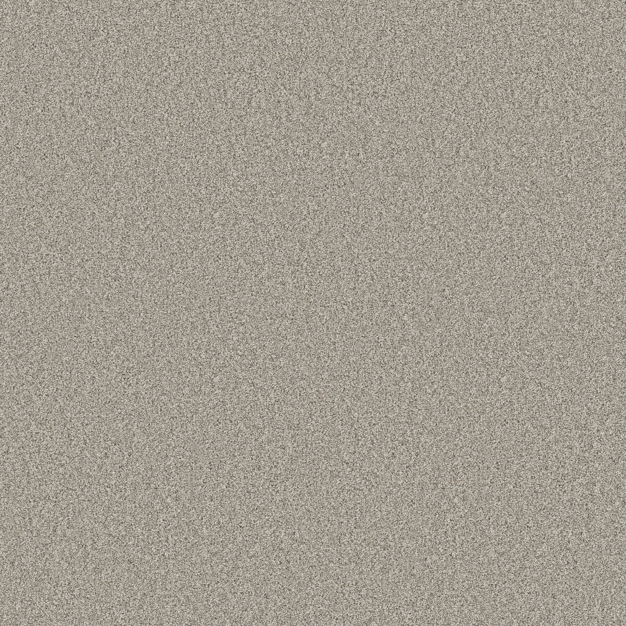 TIMELESS TONE FROSTED SAGE MAIN