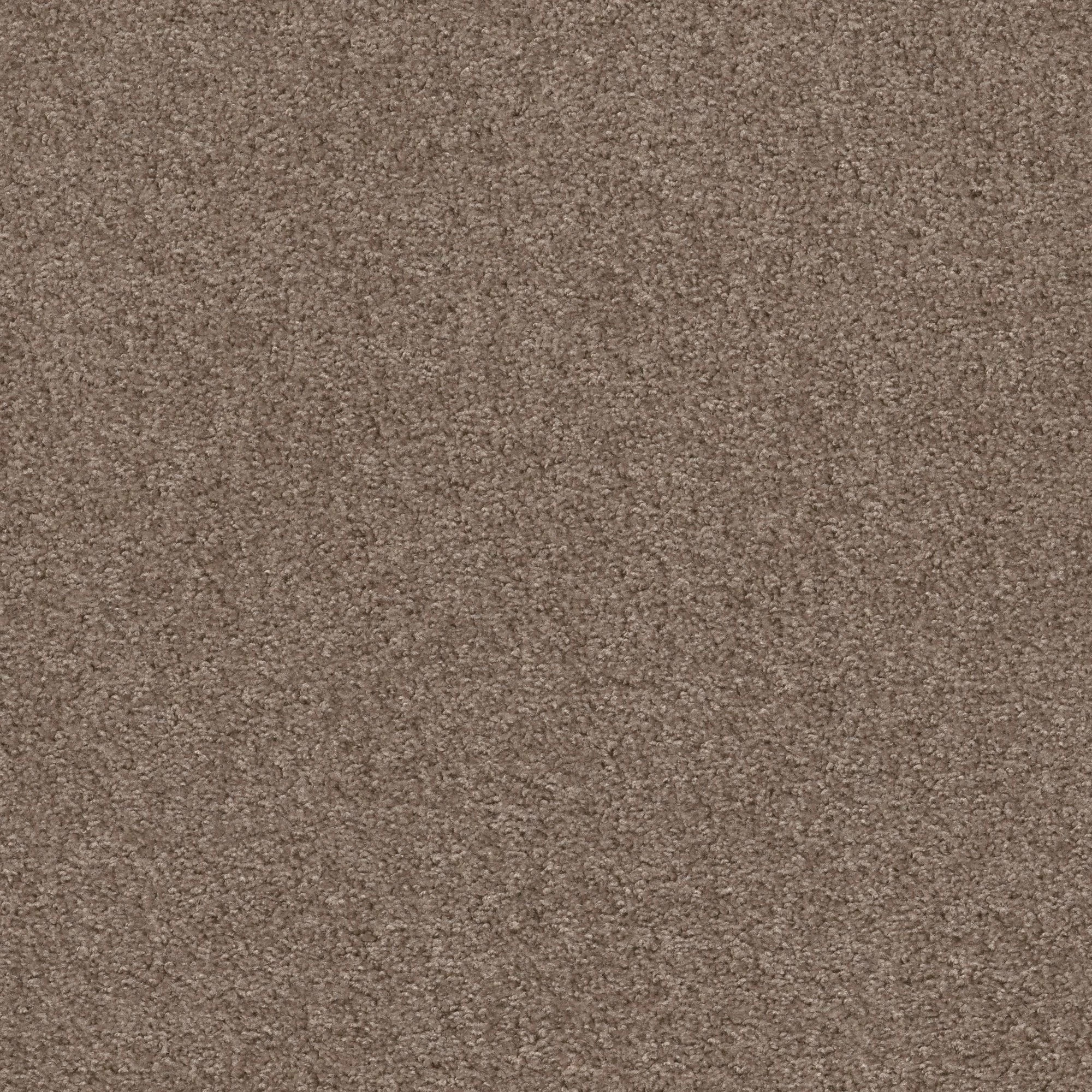 VALIANT NORTHERN CLIFF MAIN