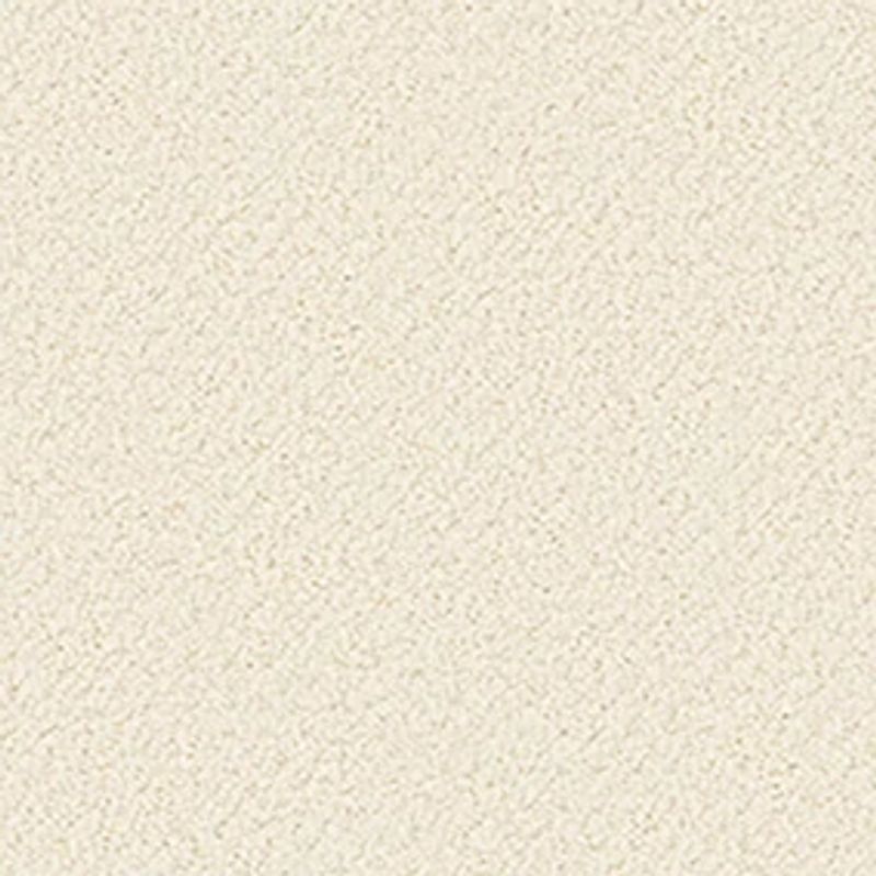 Artist View Loop EA566 Broadloom Carpet in Rocky Coast color, made of 100% nylon, 12ft wide, Berber loop construction.