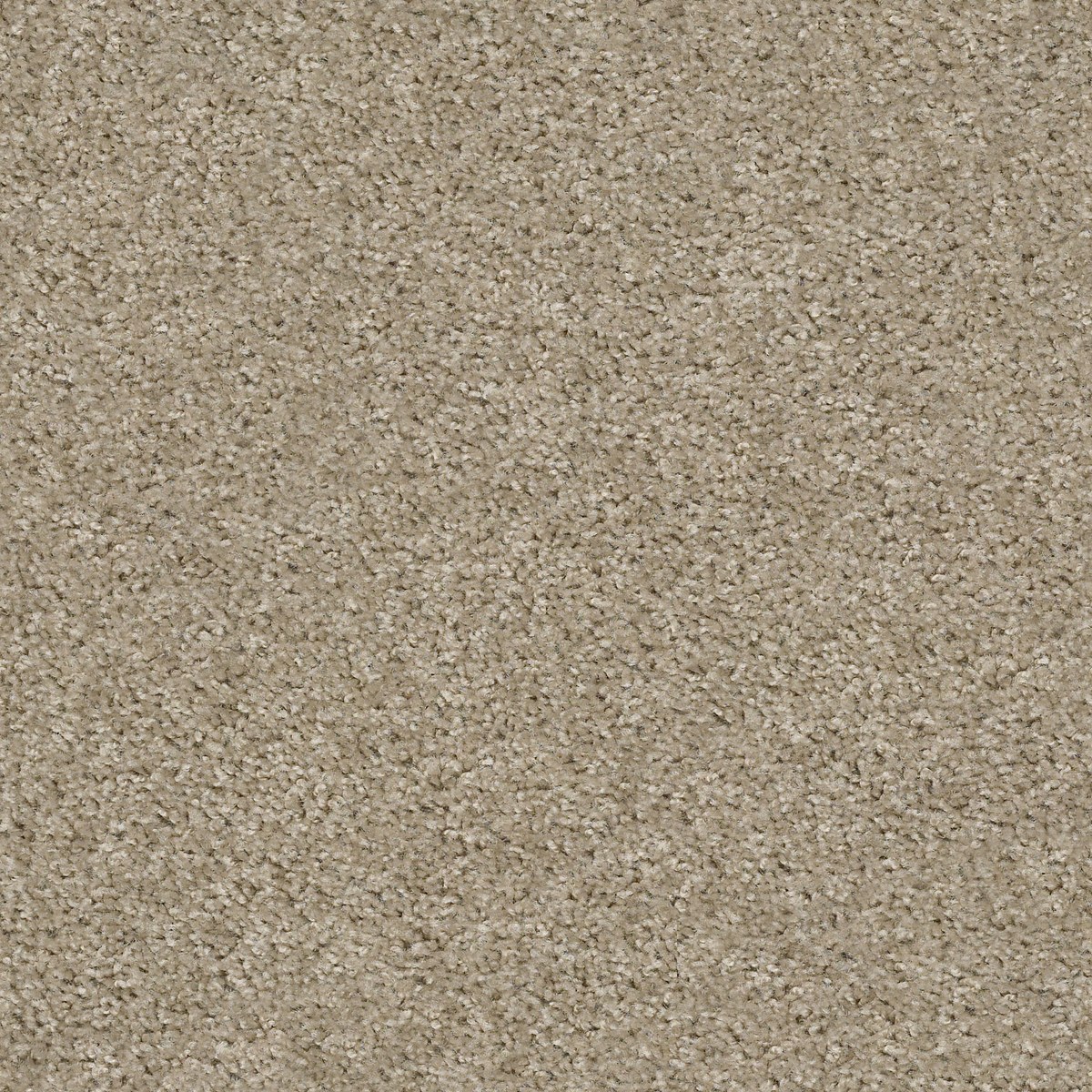 Shaw Floors VALIANT — BALBOA MIST