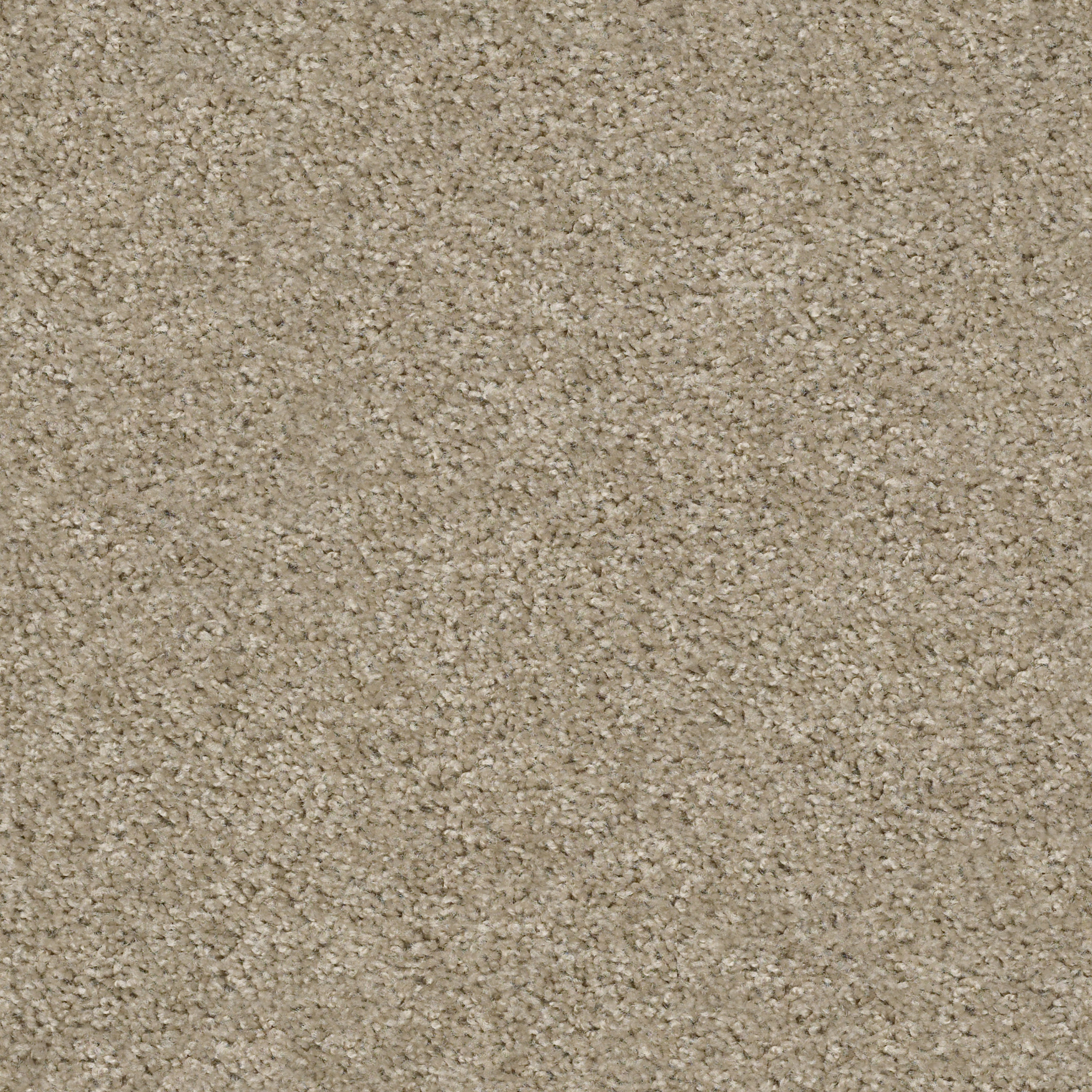 PLAY HARD BLISS MAIN