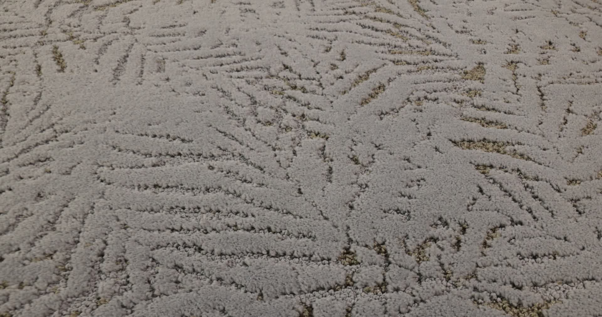 AUTOGRAPH SPORTS CAR 360PROD