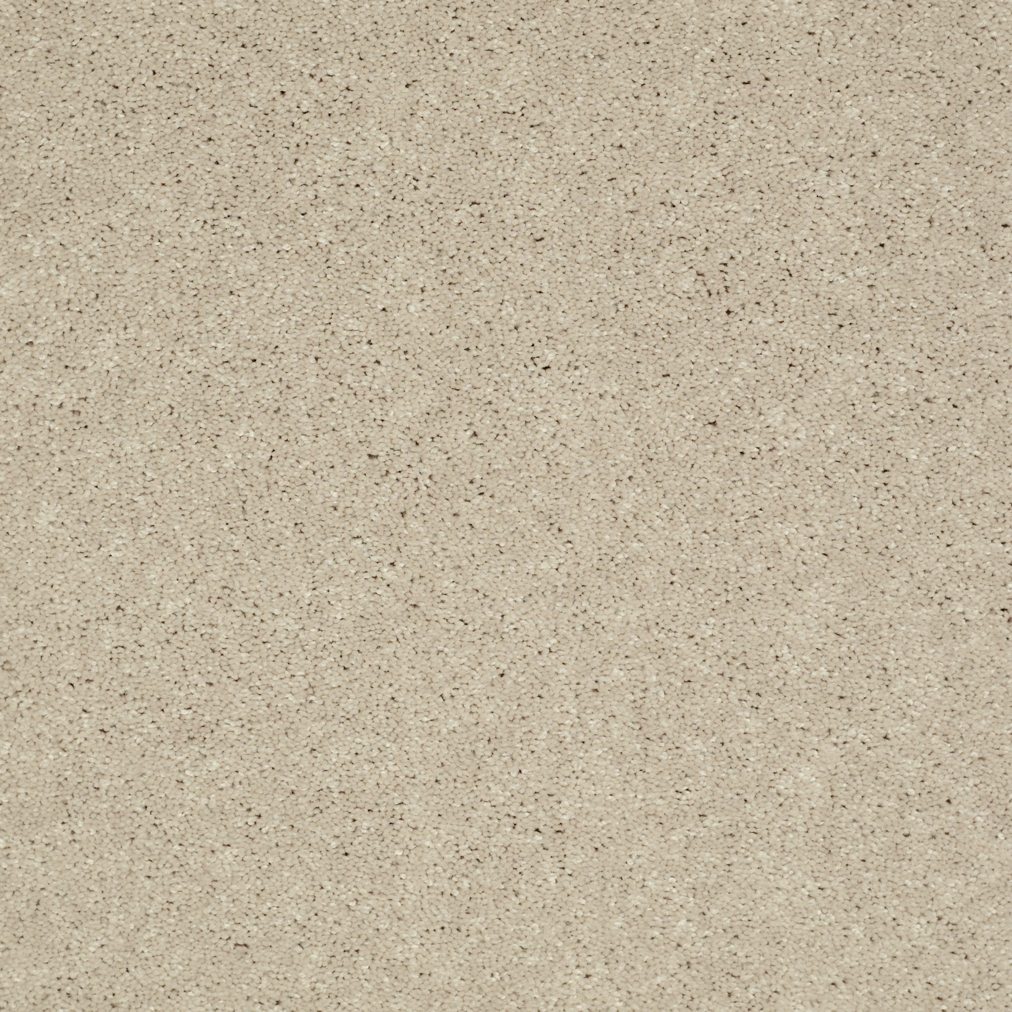 TURN THE PAGE II 12' ECRU MAIN