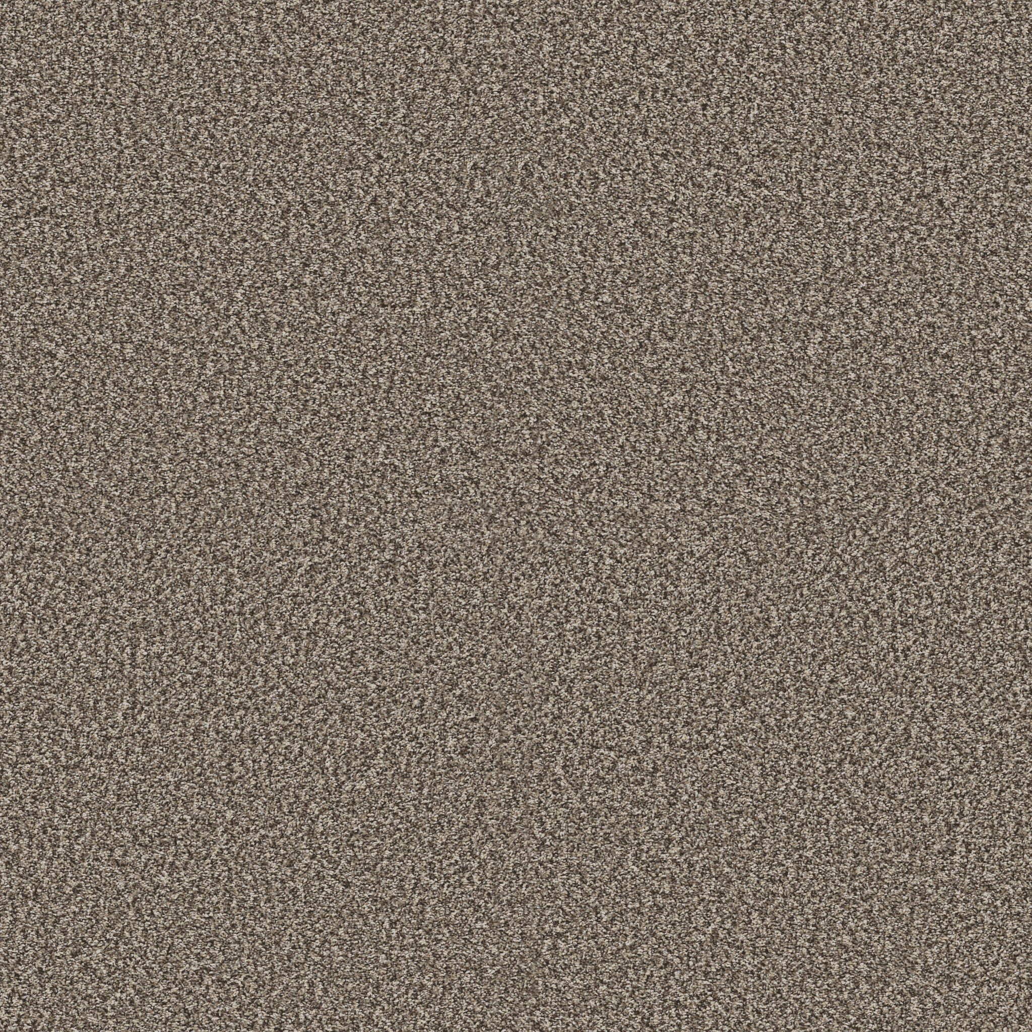 YES YOU CAN I 12' SOFT SENSE MAIN