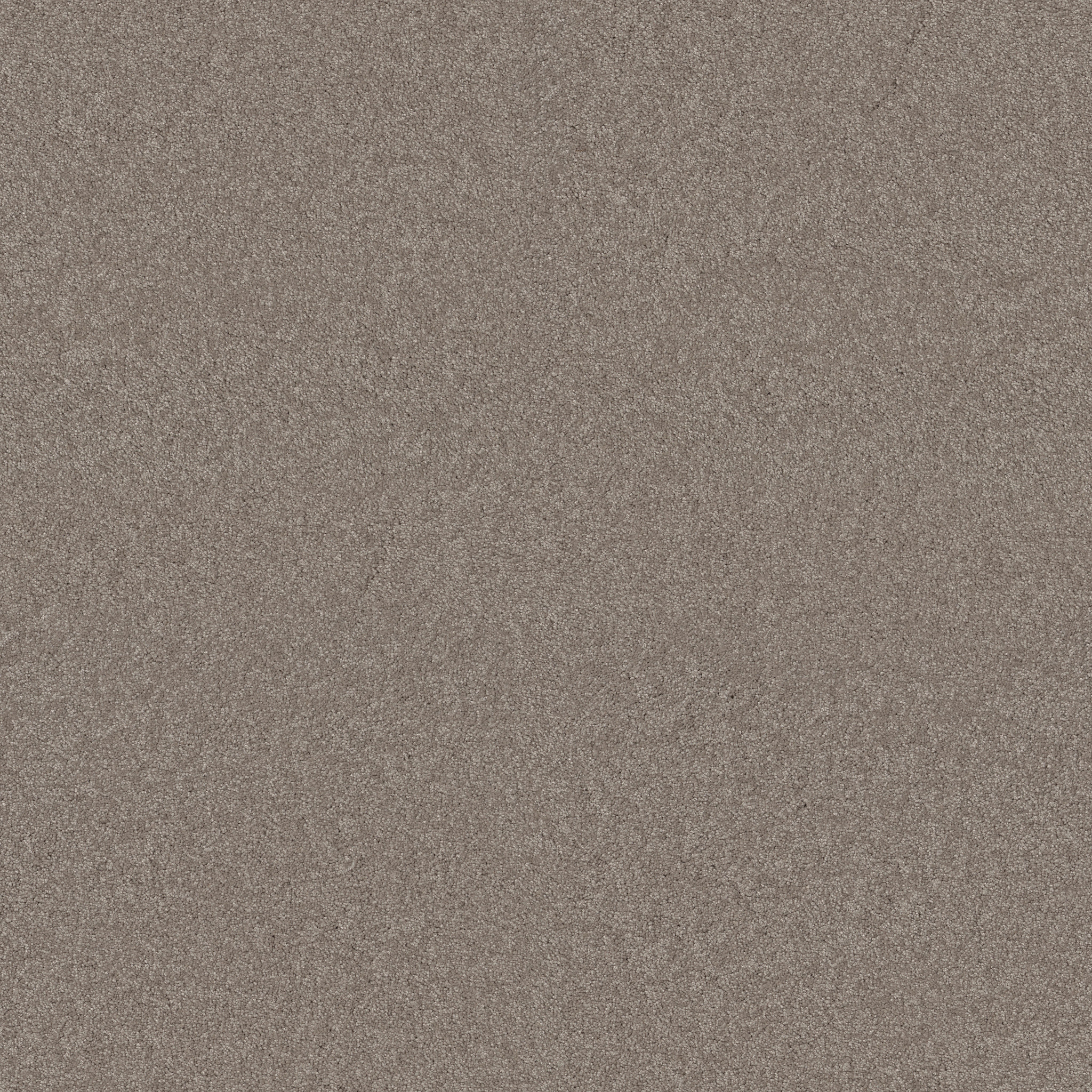 LUCKY YOU MOCHA CREAM MAIN