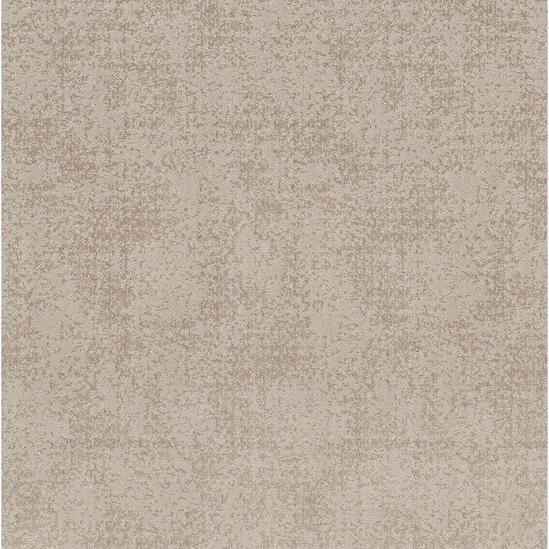 ARTISTIC PRESENCE in Sandstone by Shaw Floors