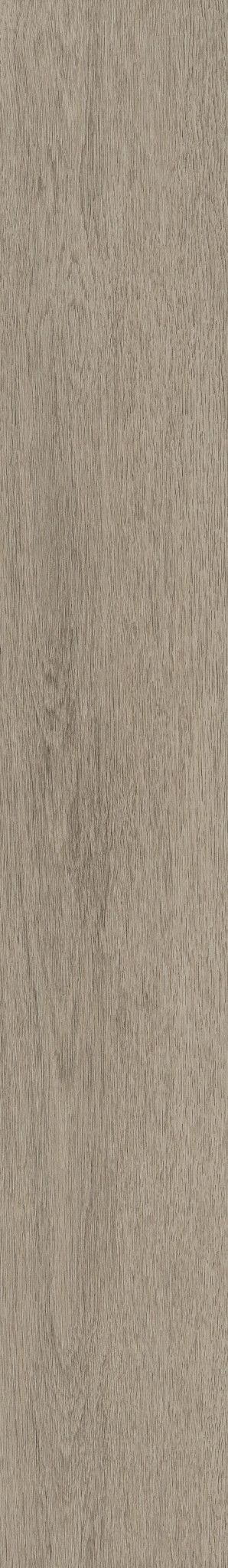 NATURAL BEGINNINGS SPC MUSHROOM GREY 1TO1