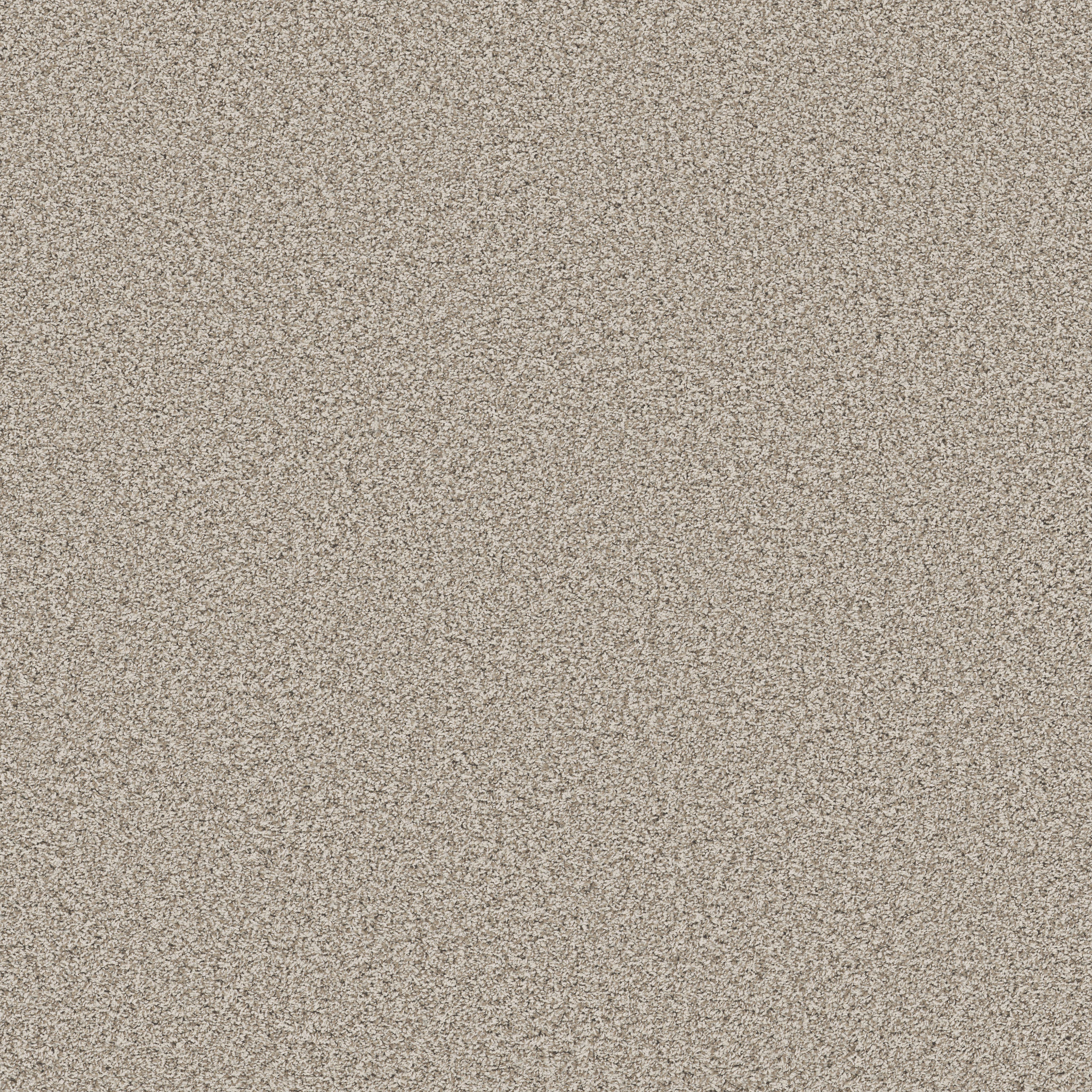 TERRA NOVA MISTY DAWN MAIN