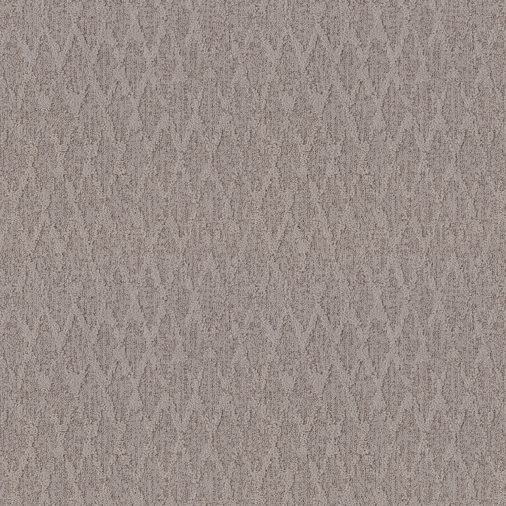 ILLUMINATION CAPE COD MAIN