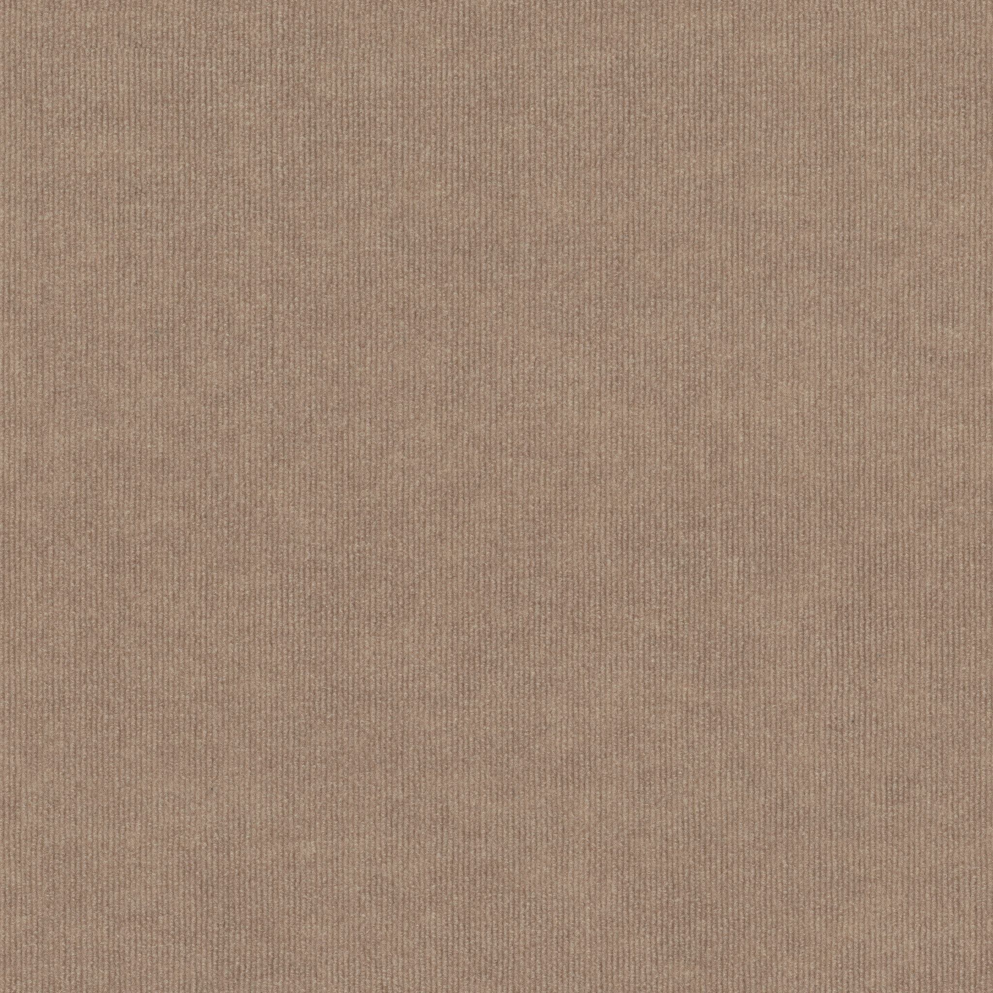 BACKDROP 2 12 54681 NATURAL FINISH 00100 main image