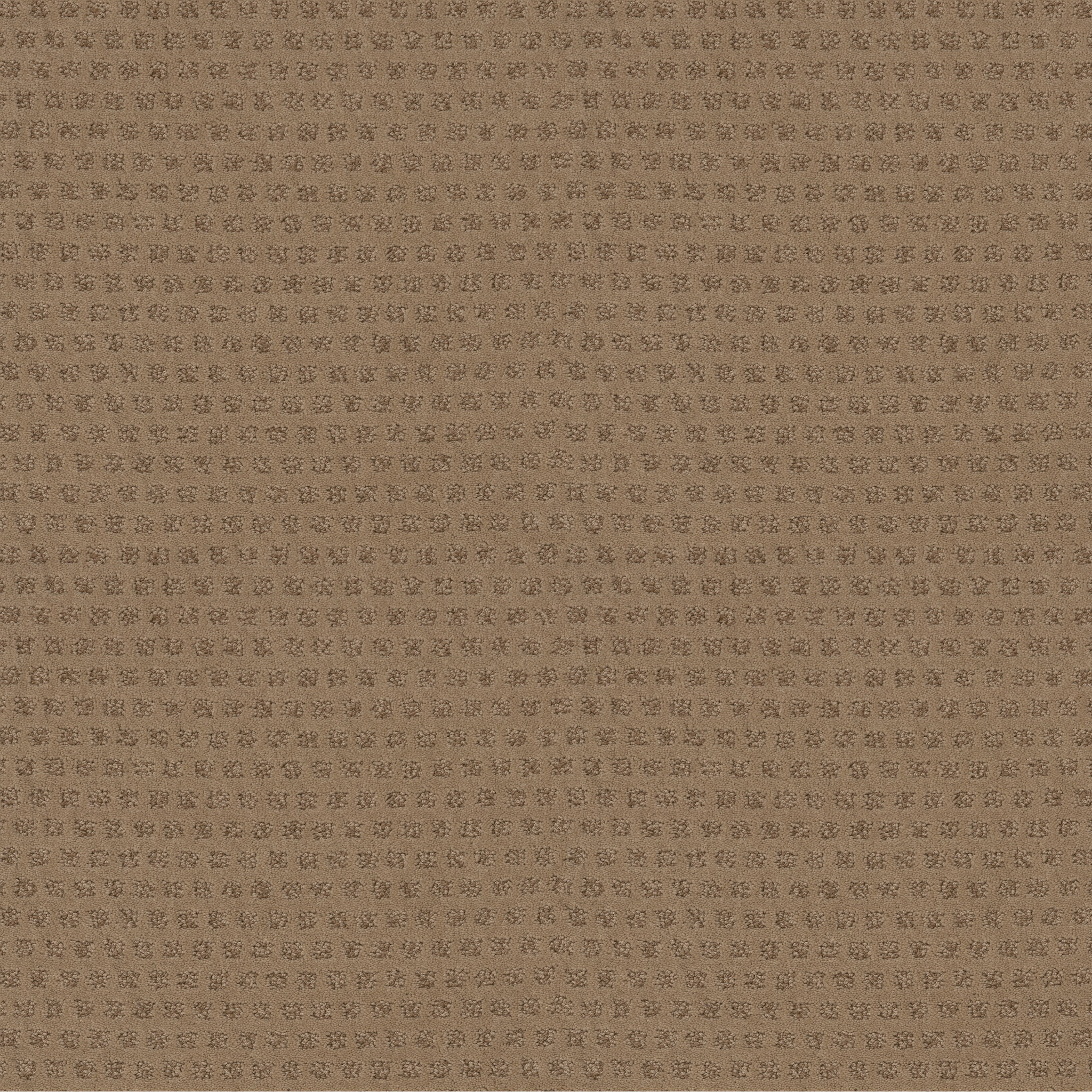 THE ARTS CARNOUSTIE MAIN