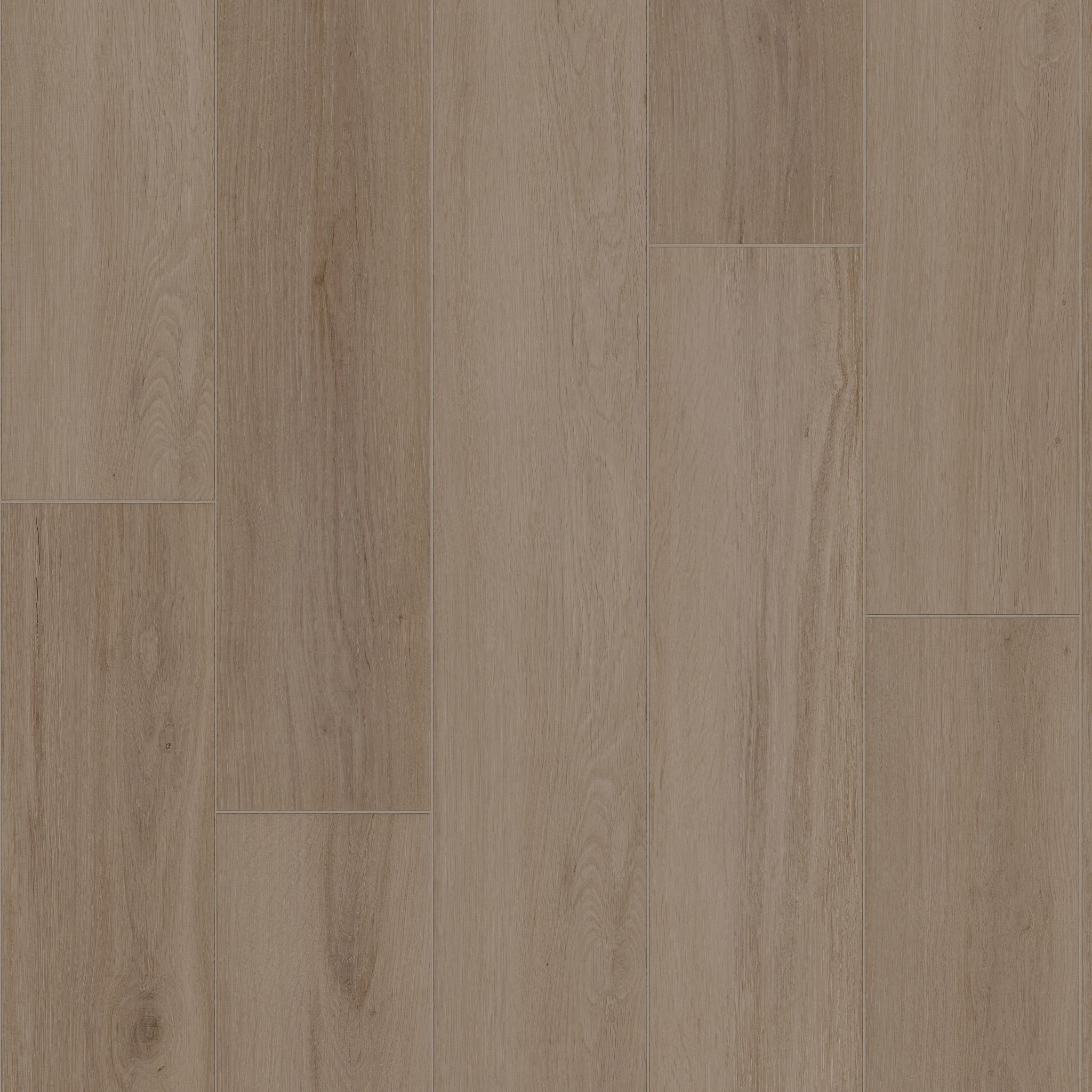 Ambition - in Mushroom | Shaw Floors