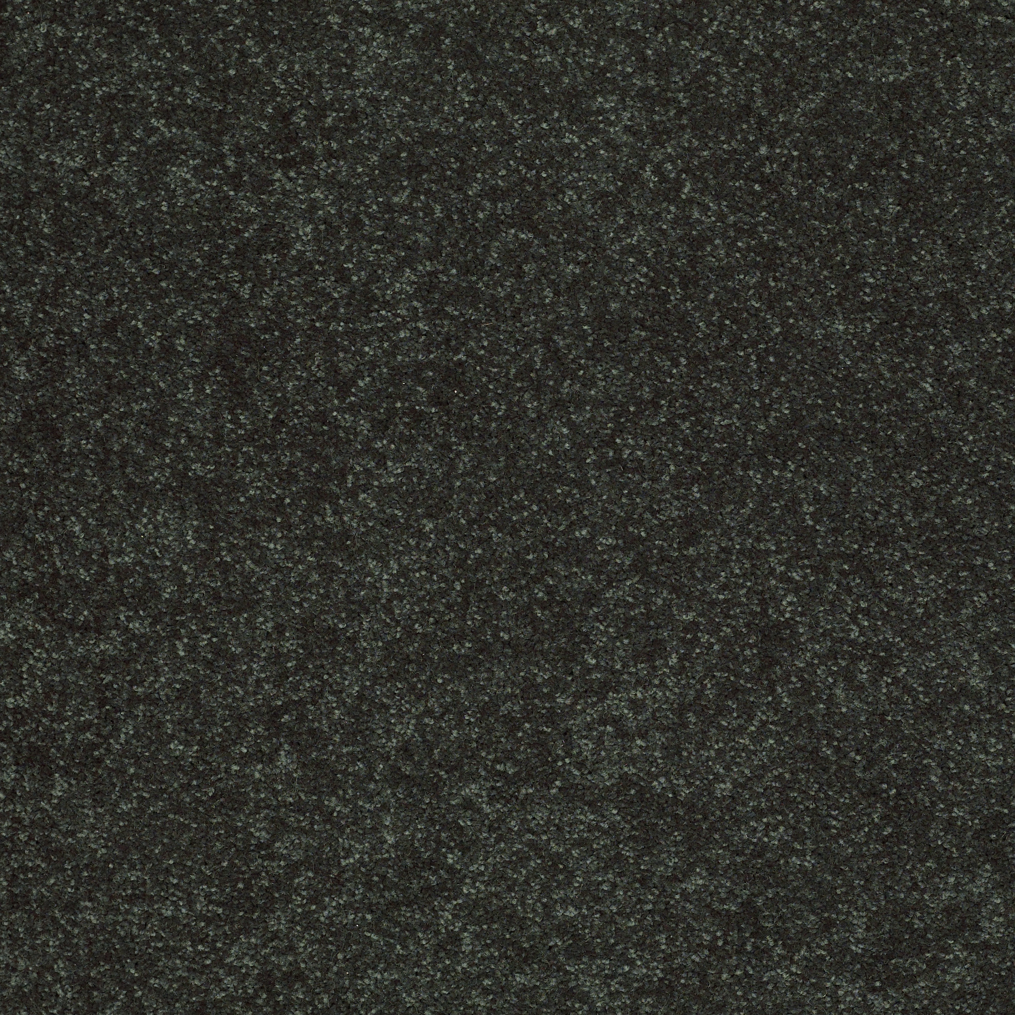 SHINGLE CREEK II 12' LILLY PAD MAIN