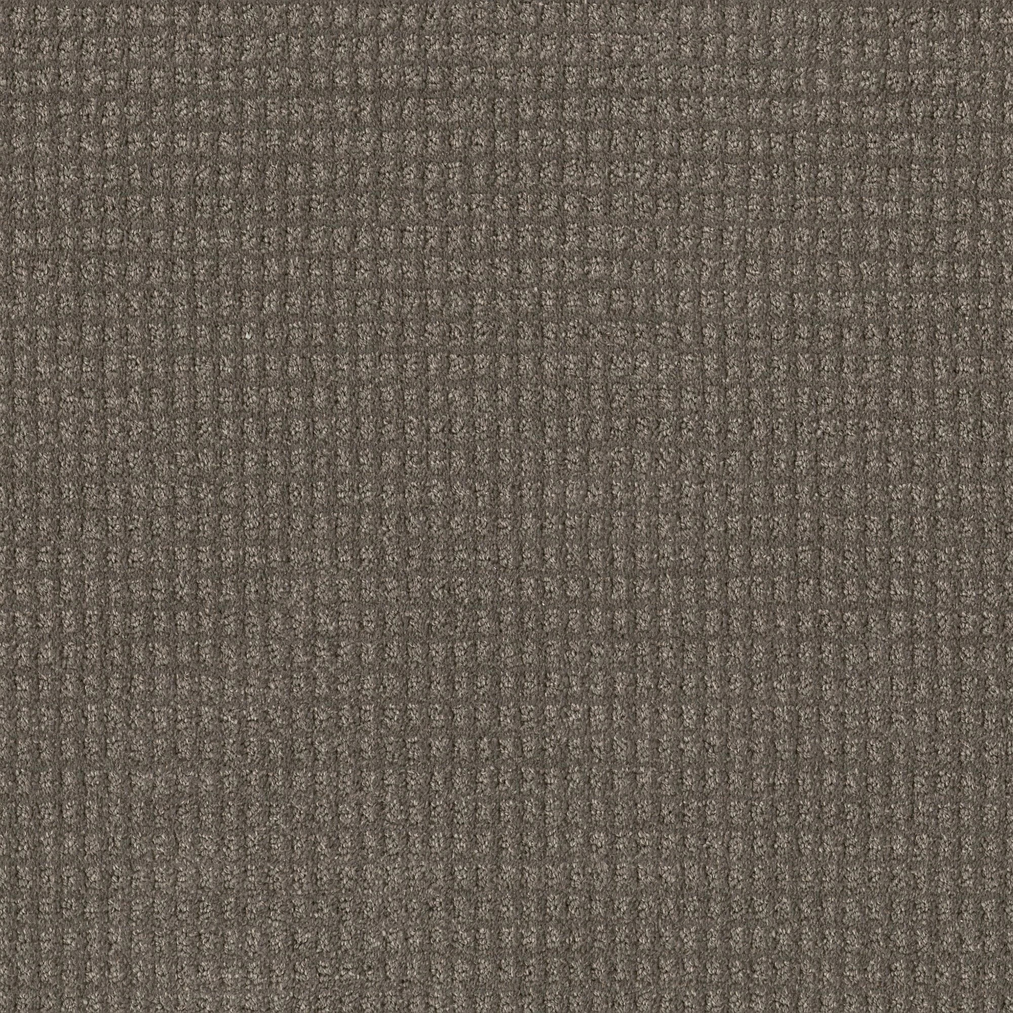 STAY FIT DIRT ROAD MAIN