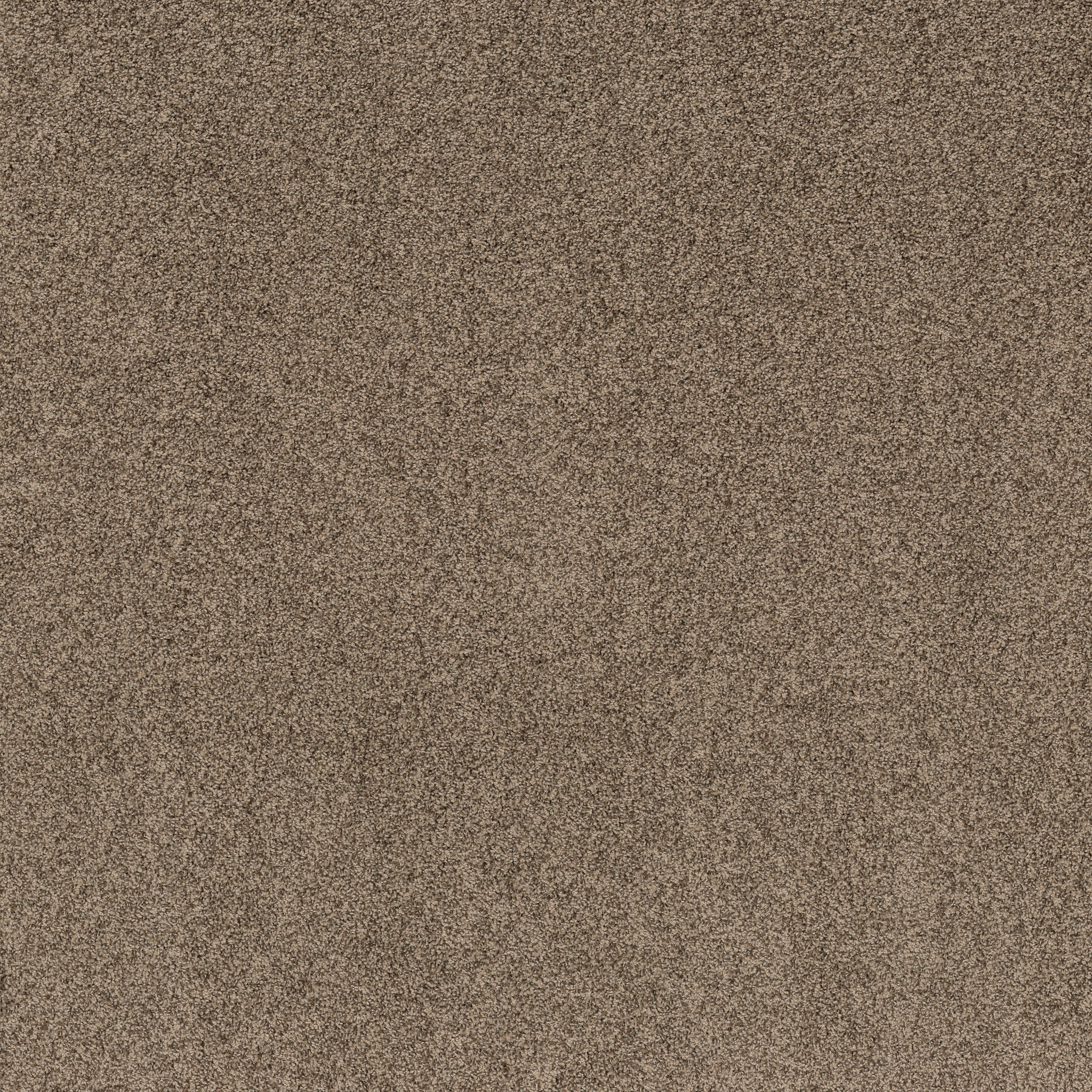 VIA NOVA JOSHUA TREE MAIN