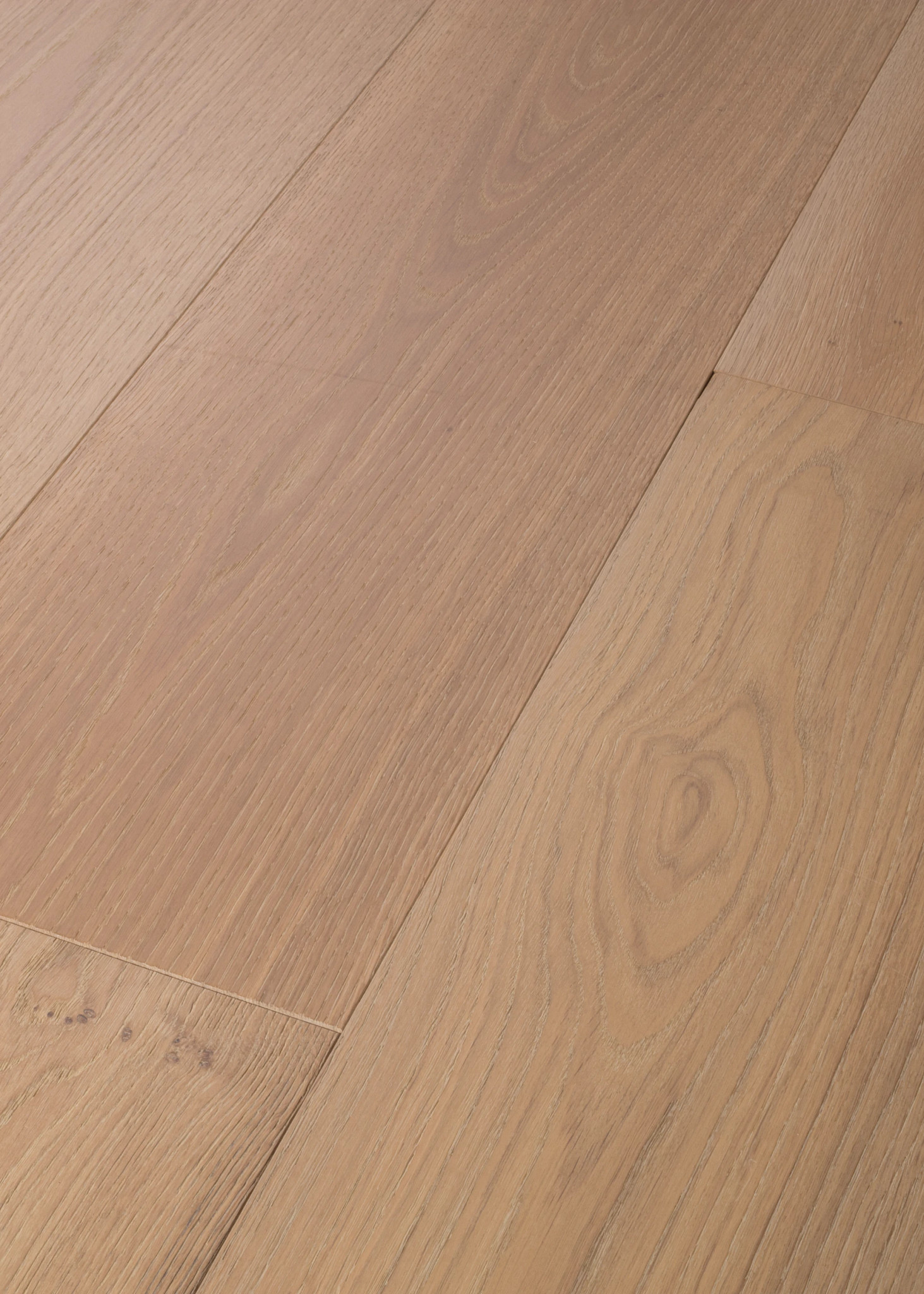 GRAND ESTATE SOMERTON CASTLE ANGLED