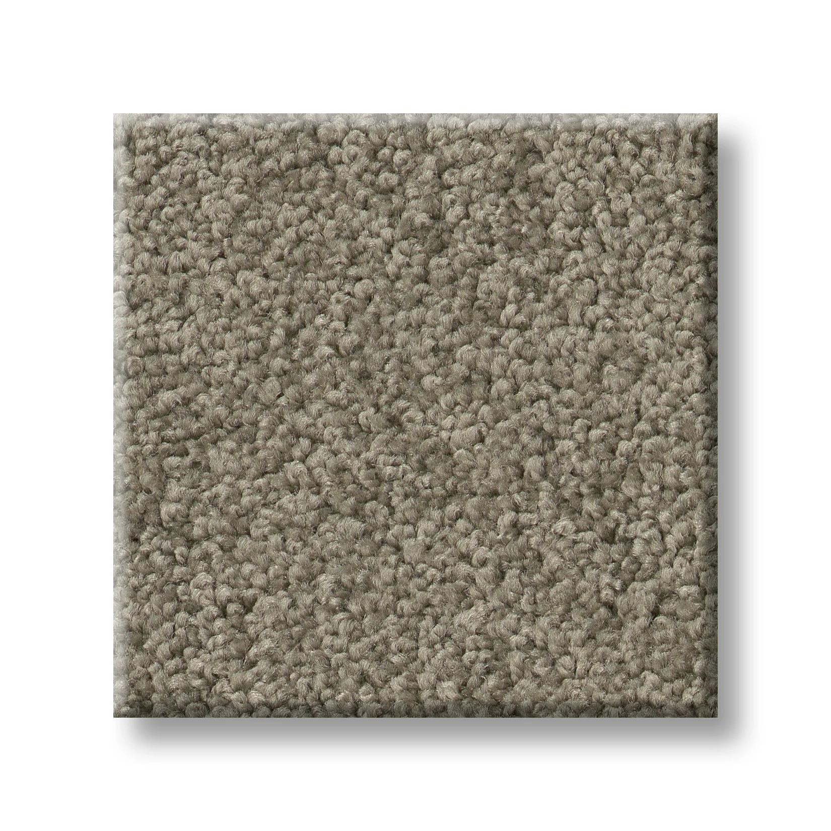 SALINA I WILD DOVE SWATCH