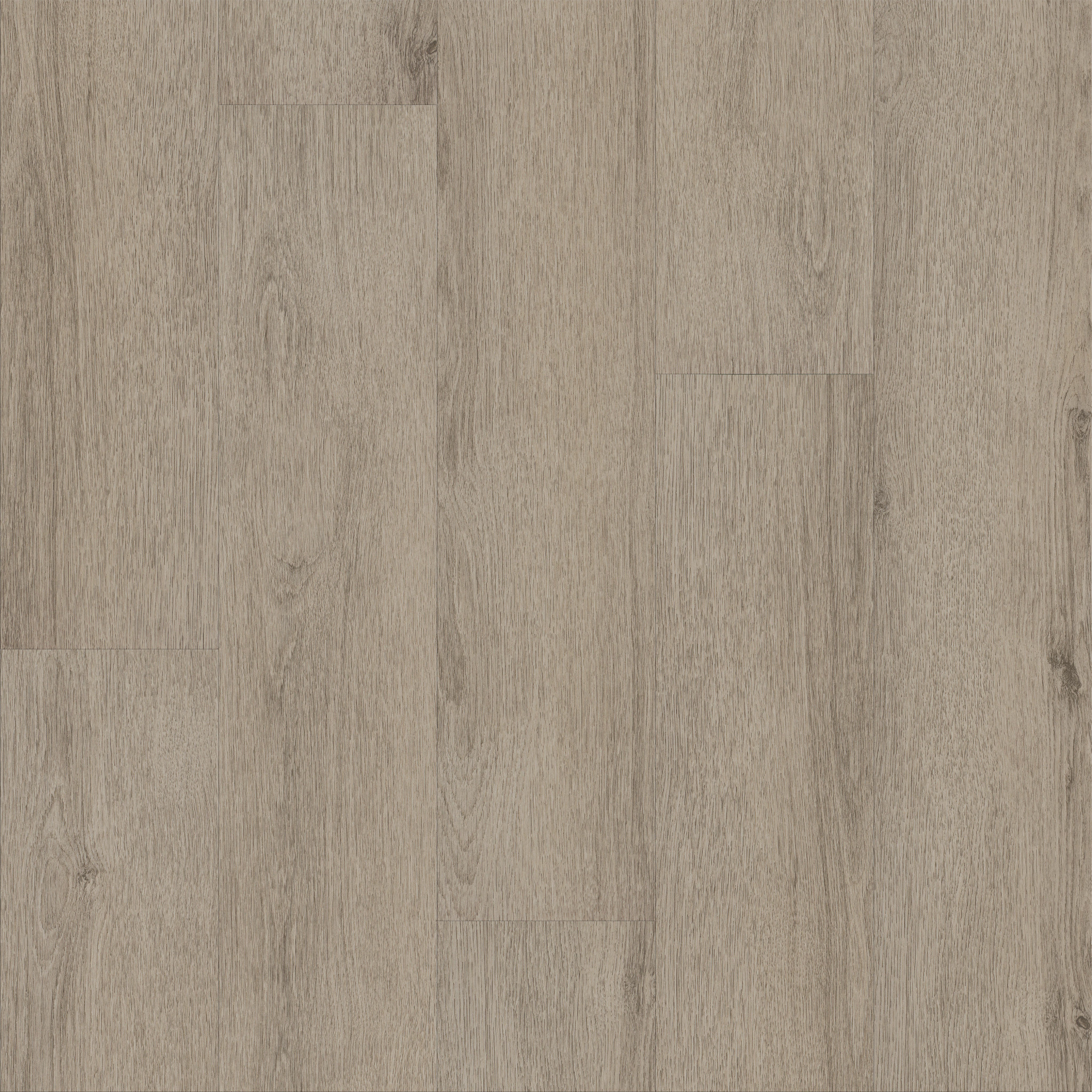 NATURAL BEGINNINGS SPC MUSHROOM GREY MAIN