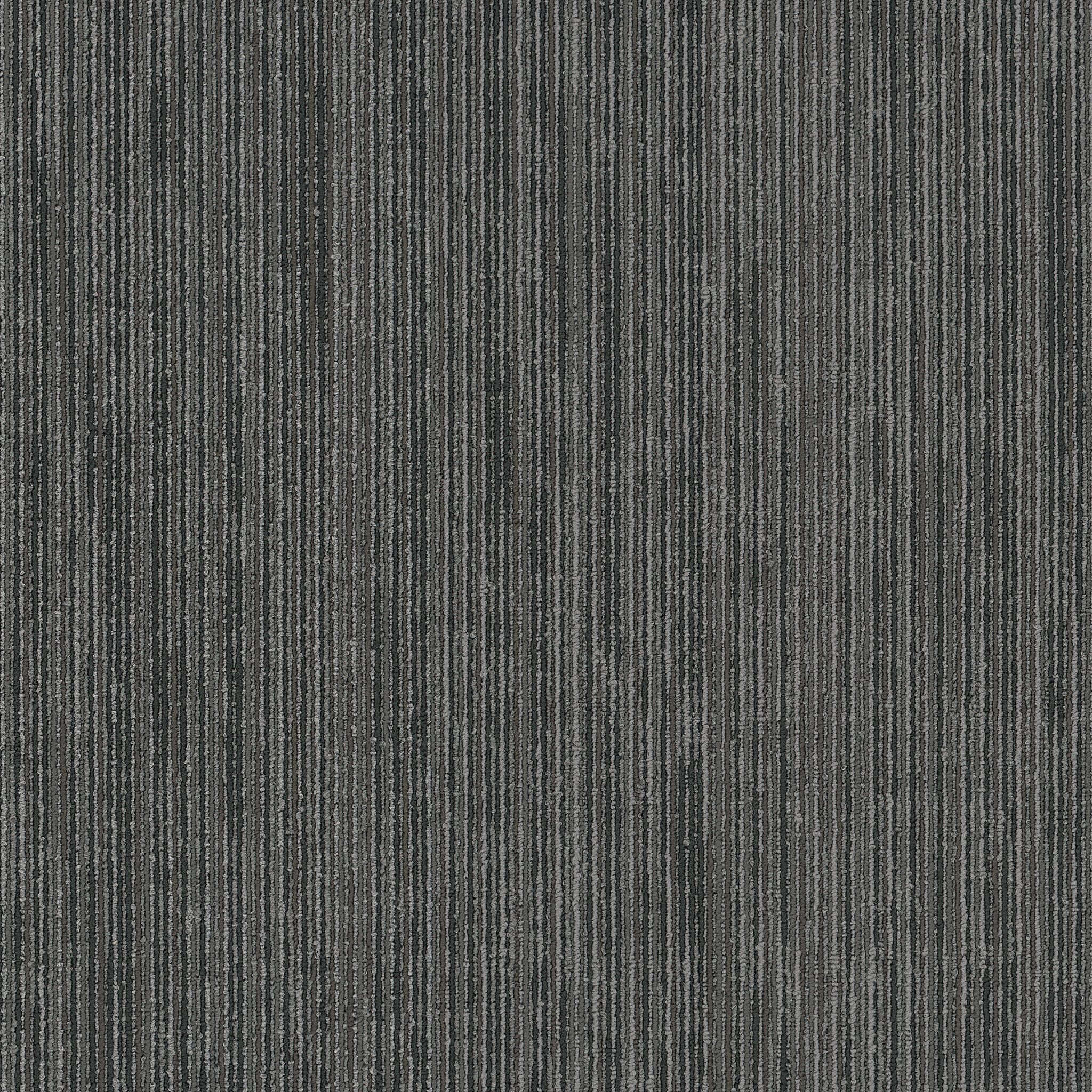 OFF-BEAT-54896-KOBRA-00504-main-image