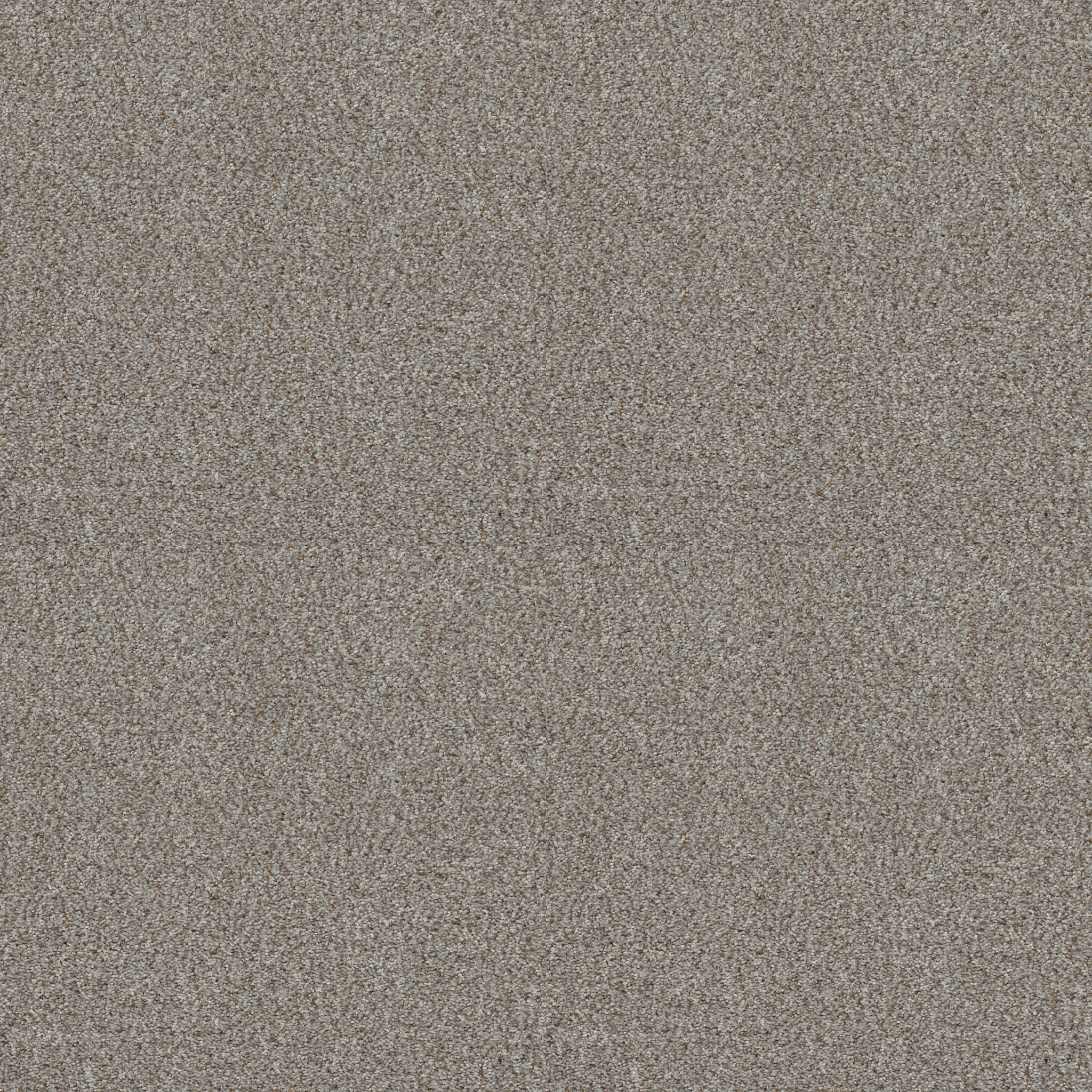 CABANA LIFE (B) STONE MAIN