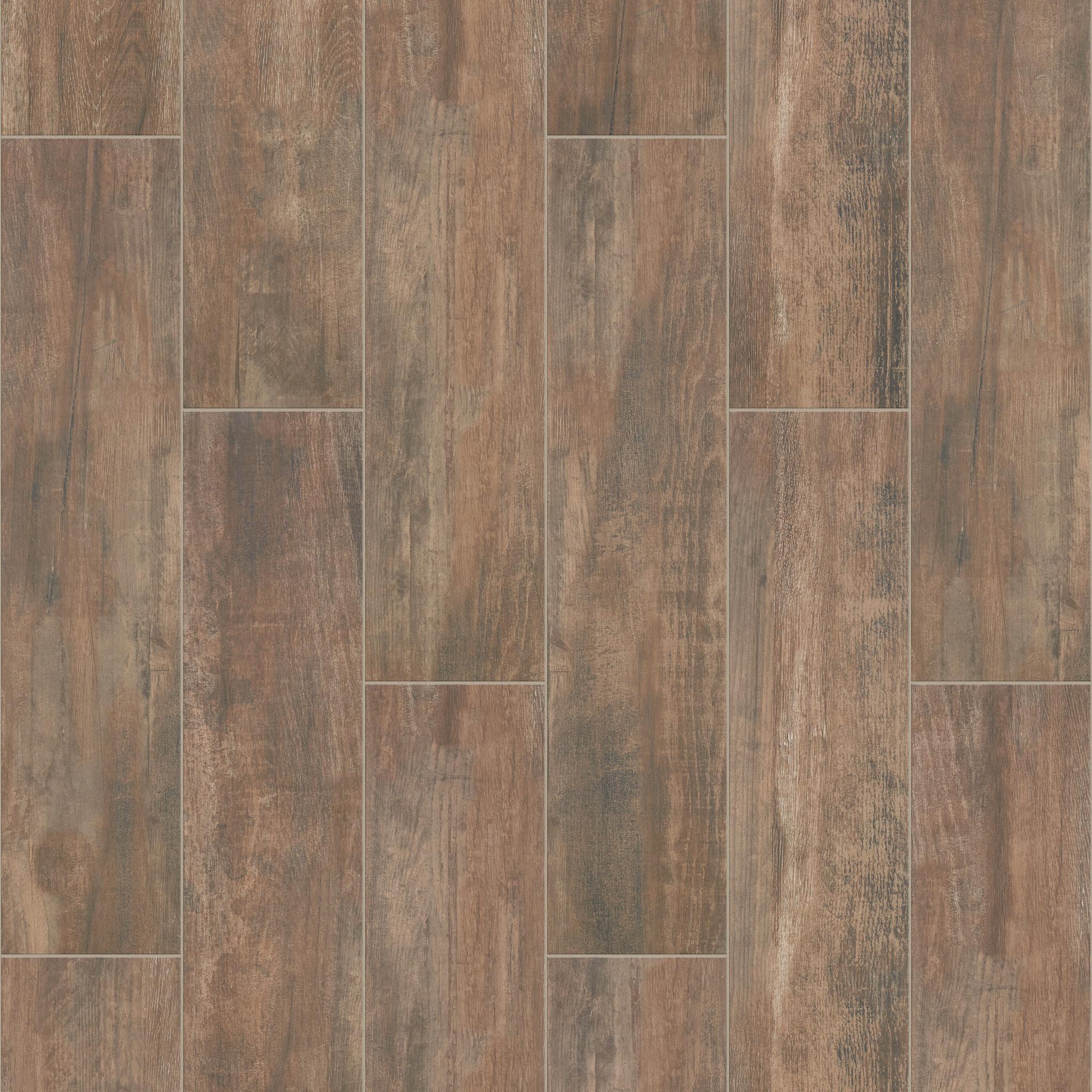 Olympia 8X36 in Brown