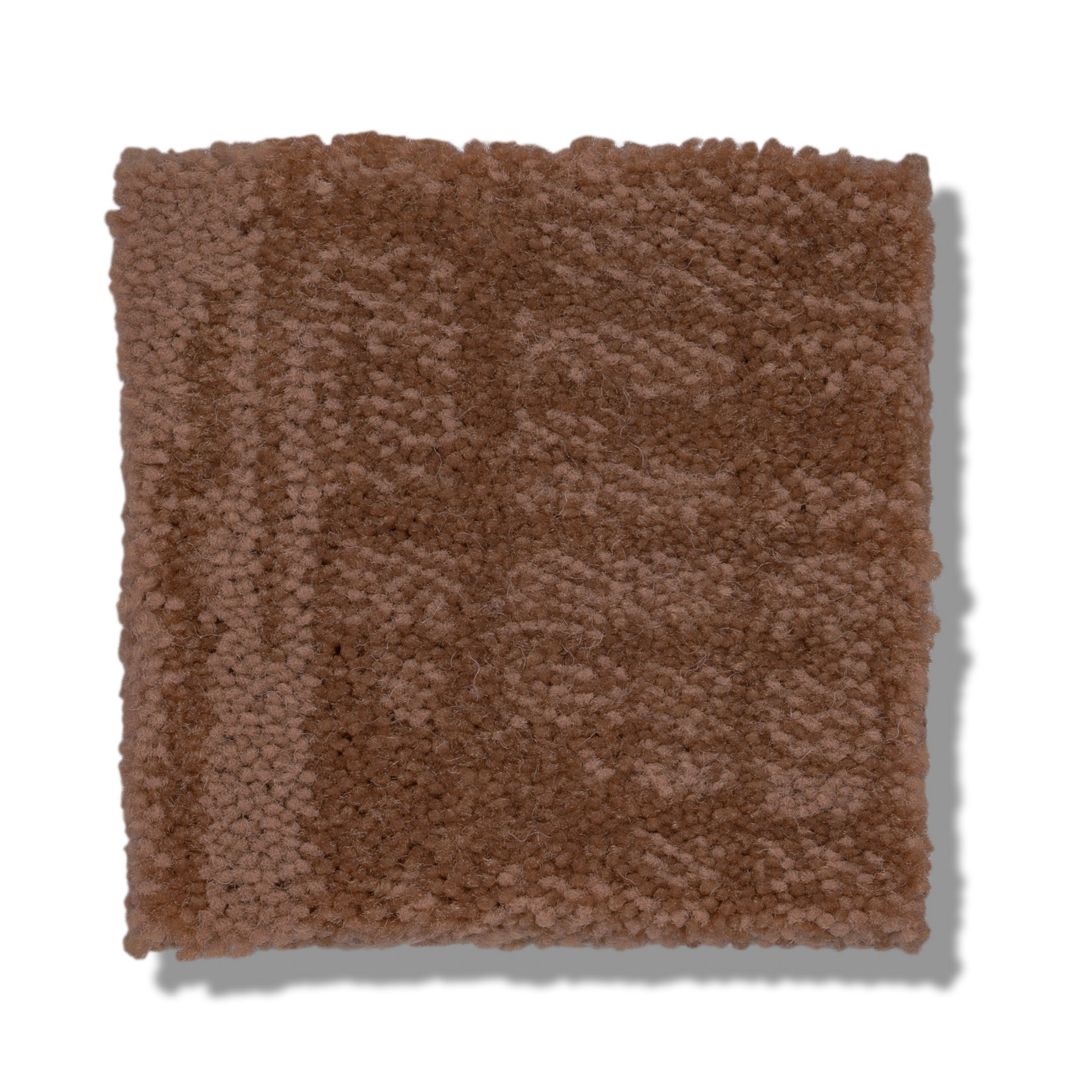 INSIGHTFUL JOURNEY SUNBAKED SWATCH