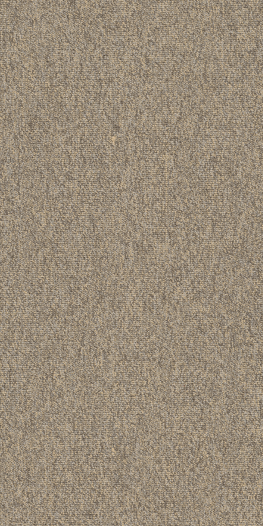 MULTIPLICITY-18X36-54815-BATCH-00500-main-image