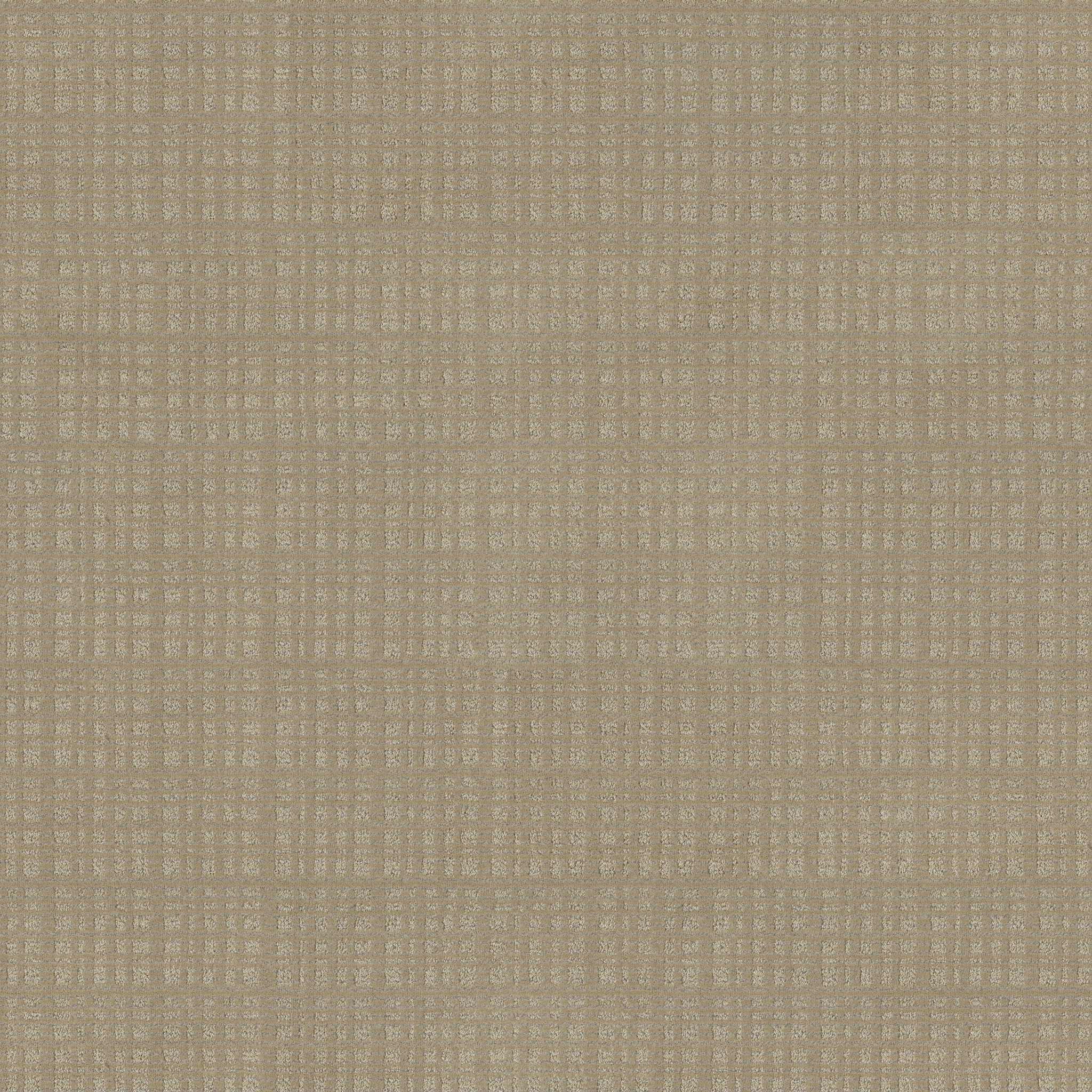 PURRSUASION SUNRISE MAIN