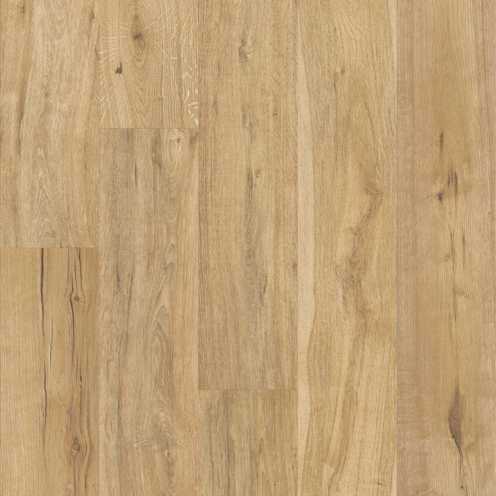 OAK GROVE HAZELWOOD MAIN