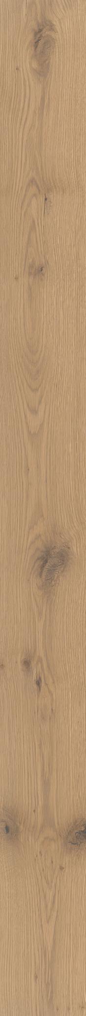 Reflections White Oak in Timber