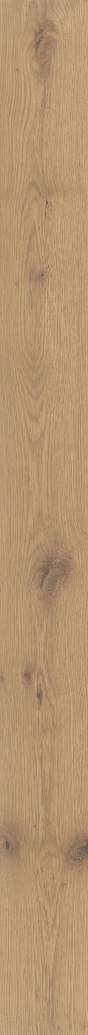 Reflections White Oak Engineered Hardwood Flooring in Timber color, 7 inches wide, made from white oak with a water-resistant finish.