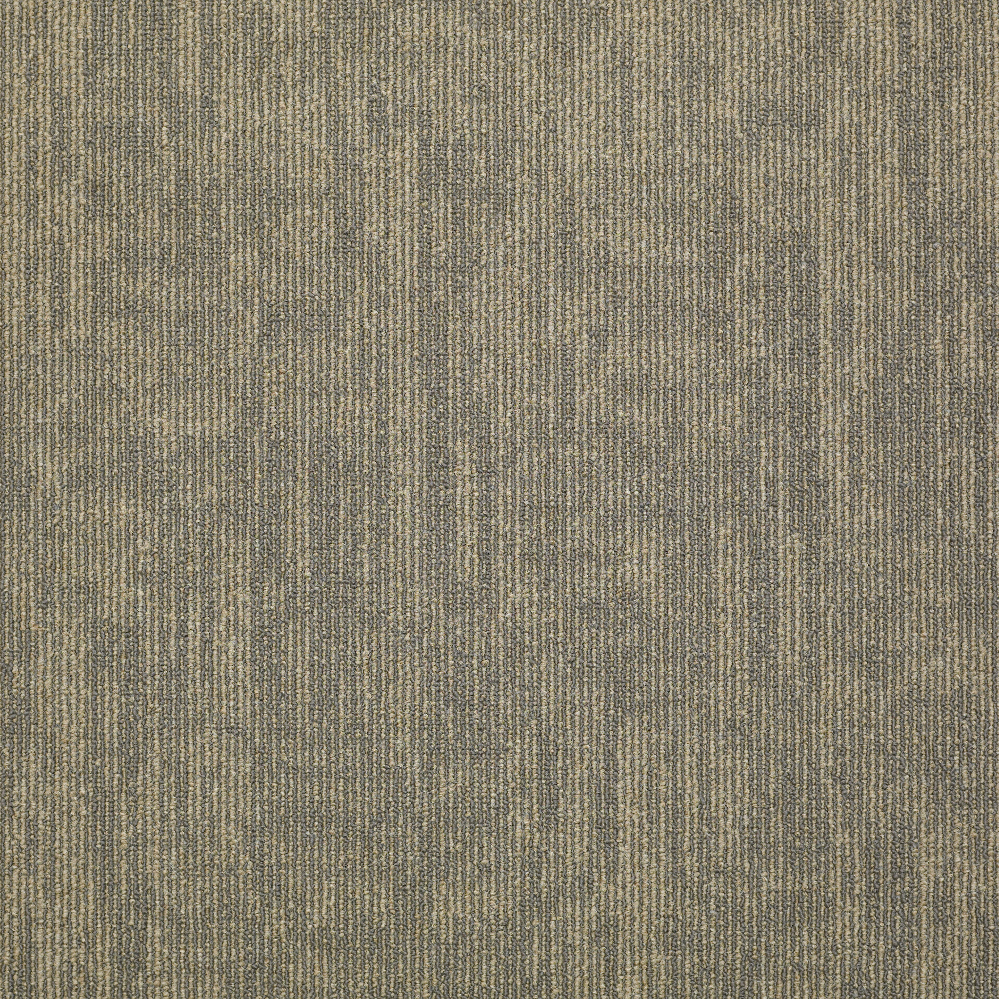 CARBON-COPY-54806-TRANSFER-06503-main-image