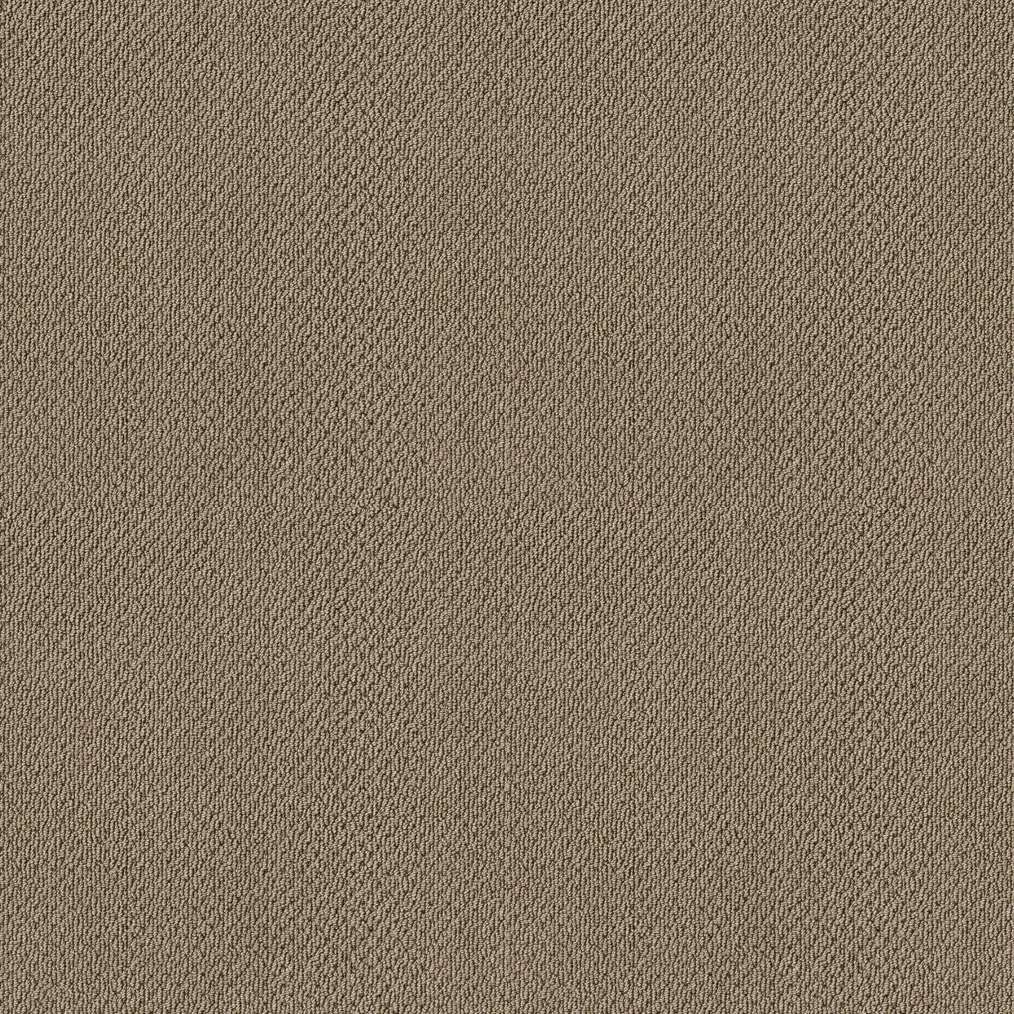 SUBTLE SHIMMER LOOP CAPPUCCINO MAIN