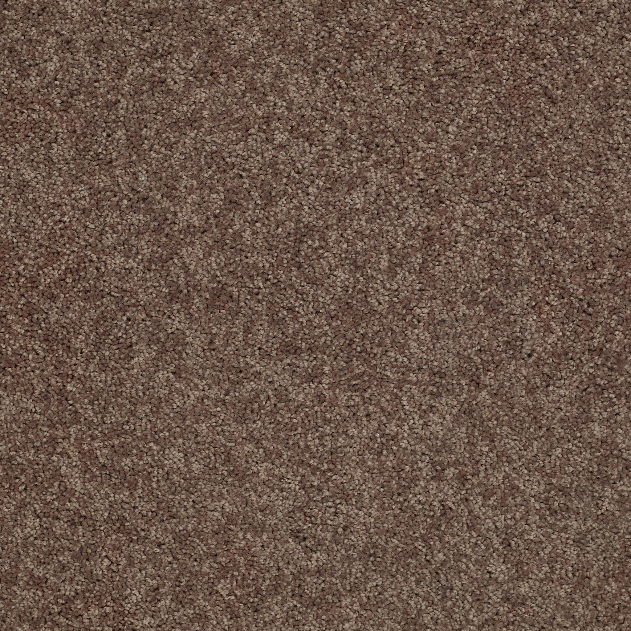 TAKE PART 12 BARK MAIN