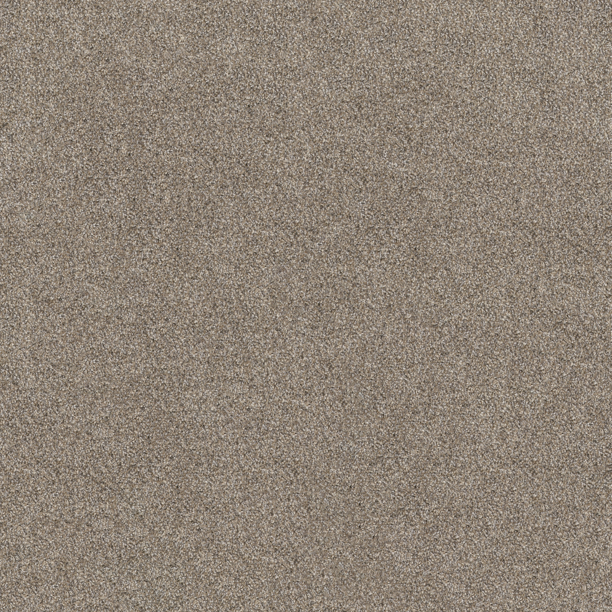 SOFT EFFERVESCENCE NUTRIA MAIN