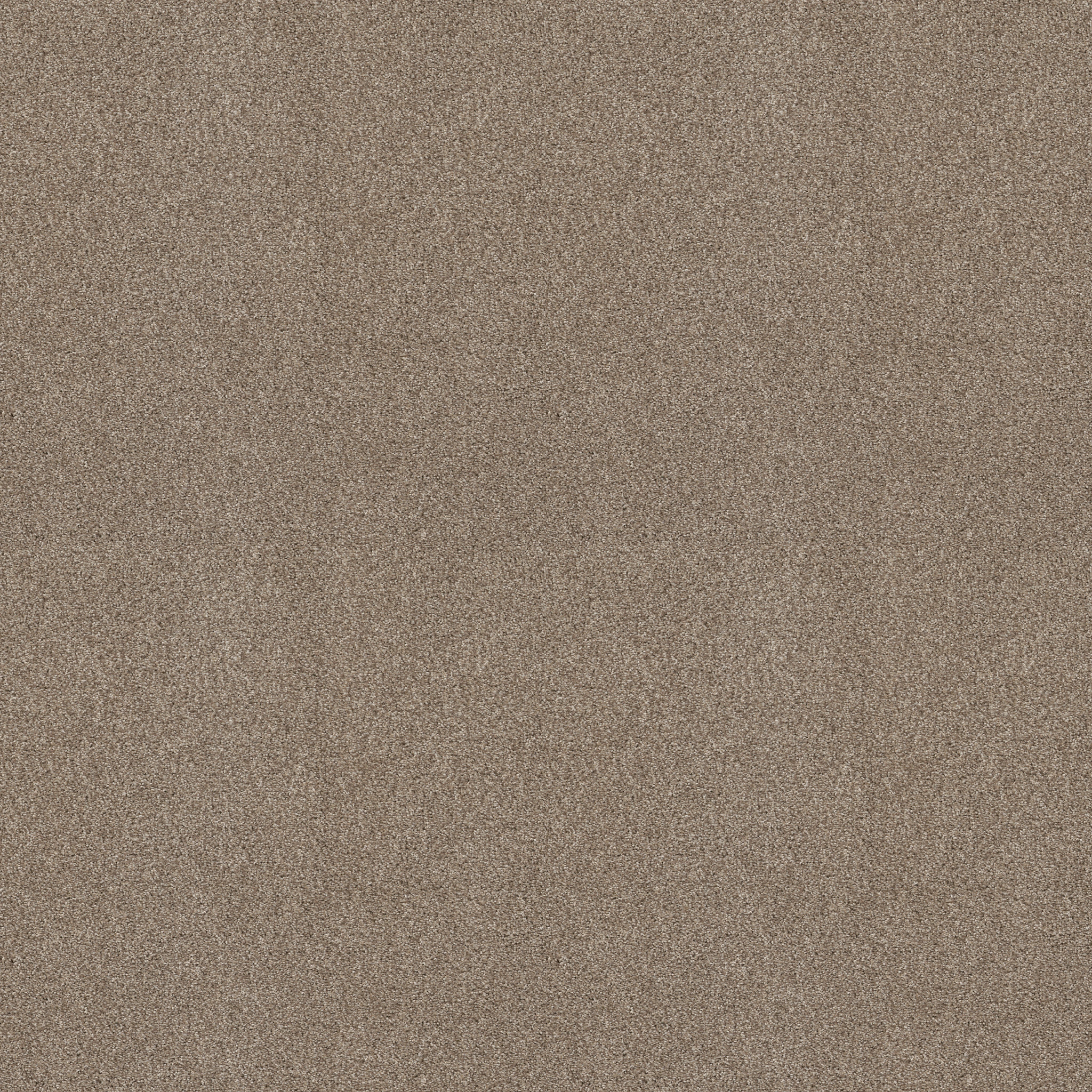 TONAL COMFORT I DOCKSIDE VIEW MAIN