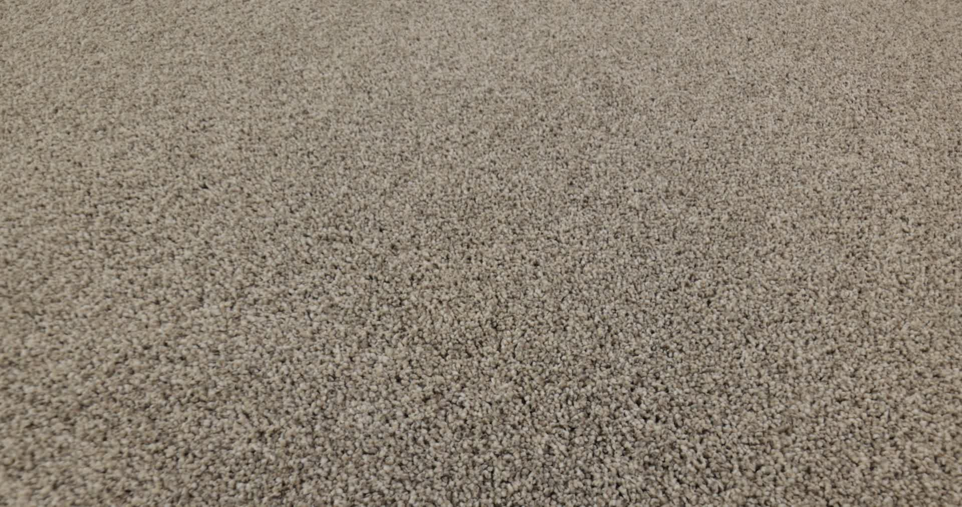 TIMELESS TONE OPEN CANYON 360PROD