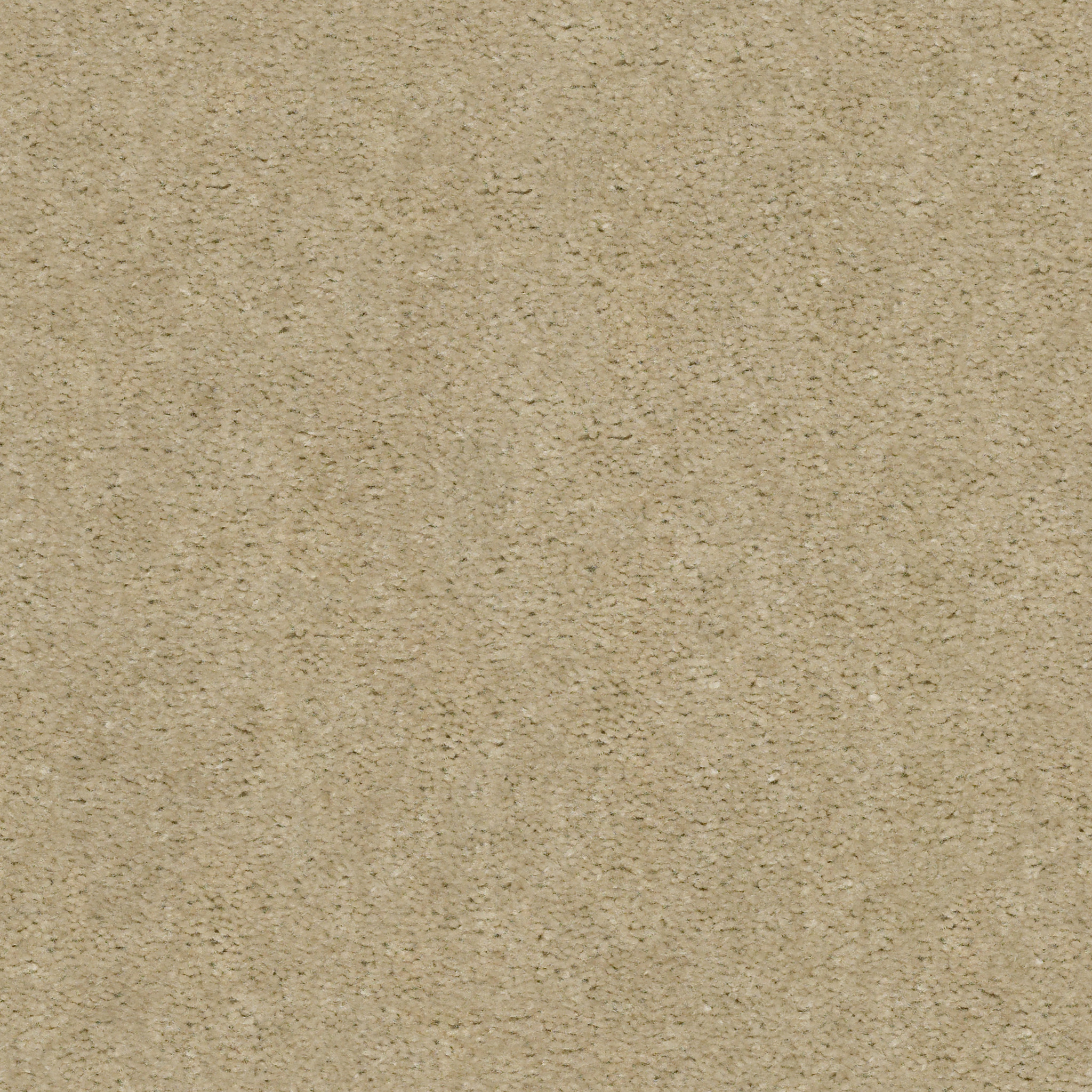 LET'S RACE VENETIAN TILE MAIN