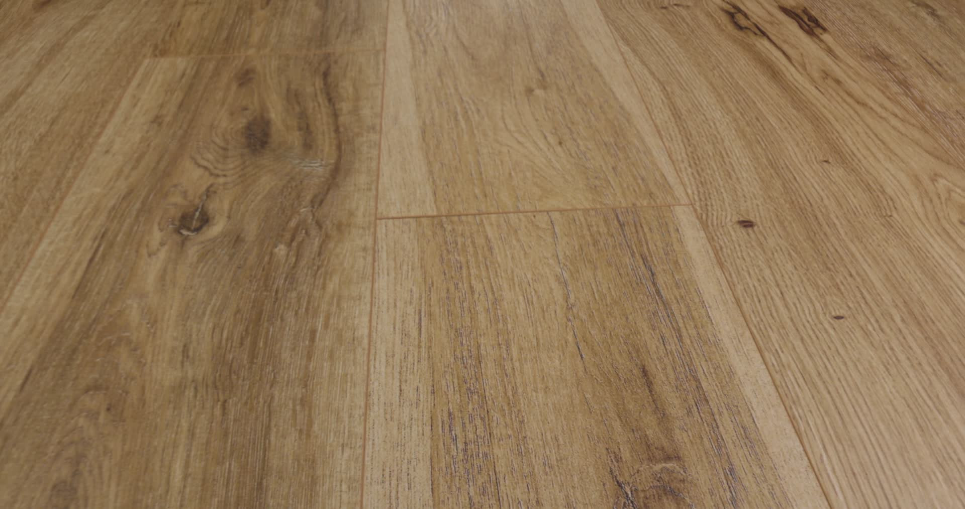 OAK GROVE HAZELWOOD 360PROD