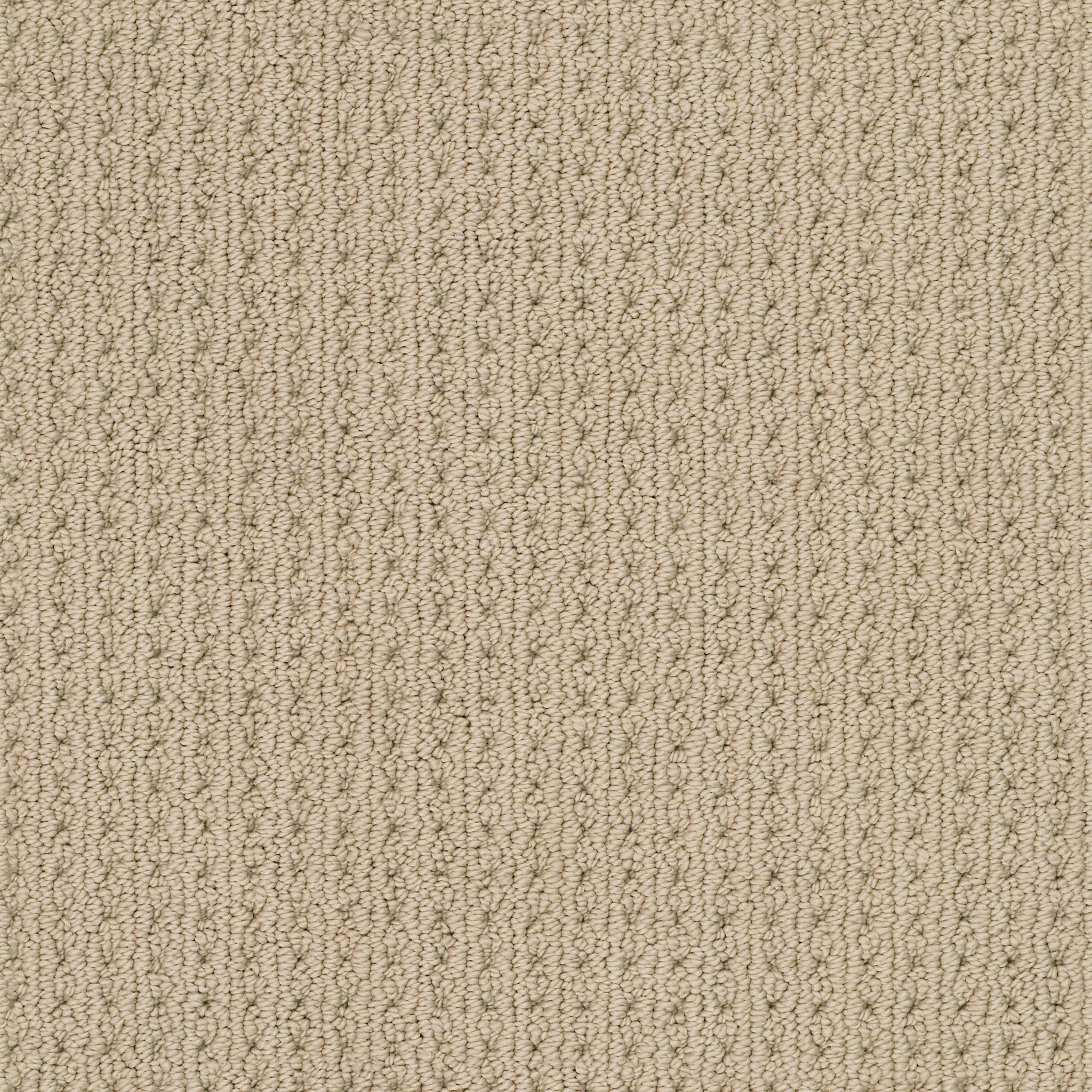 SAN LUCAS GOLDEN MAIN