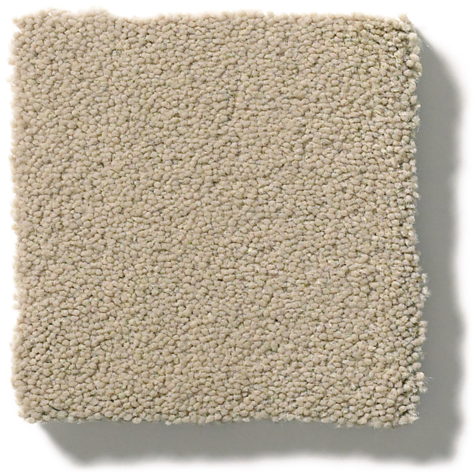 PERFECT CHOICE PASHMINA SWATCH