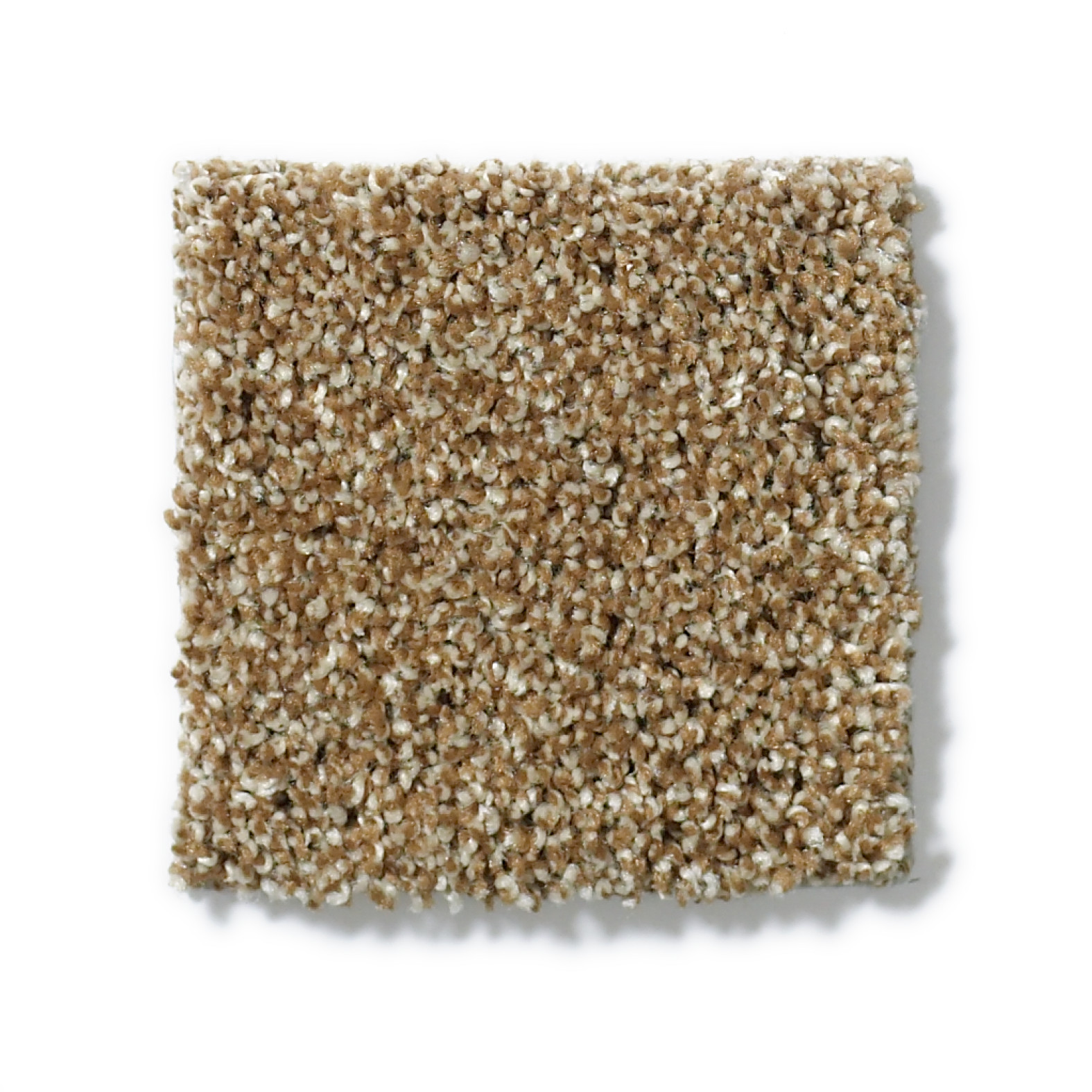 PICTURESQUE LEATHER BOUND SWATCH