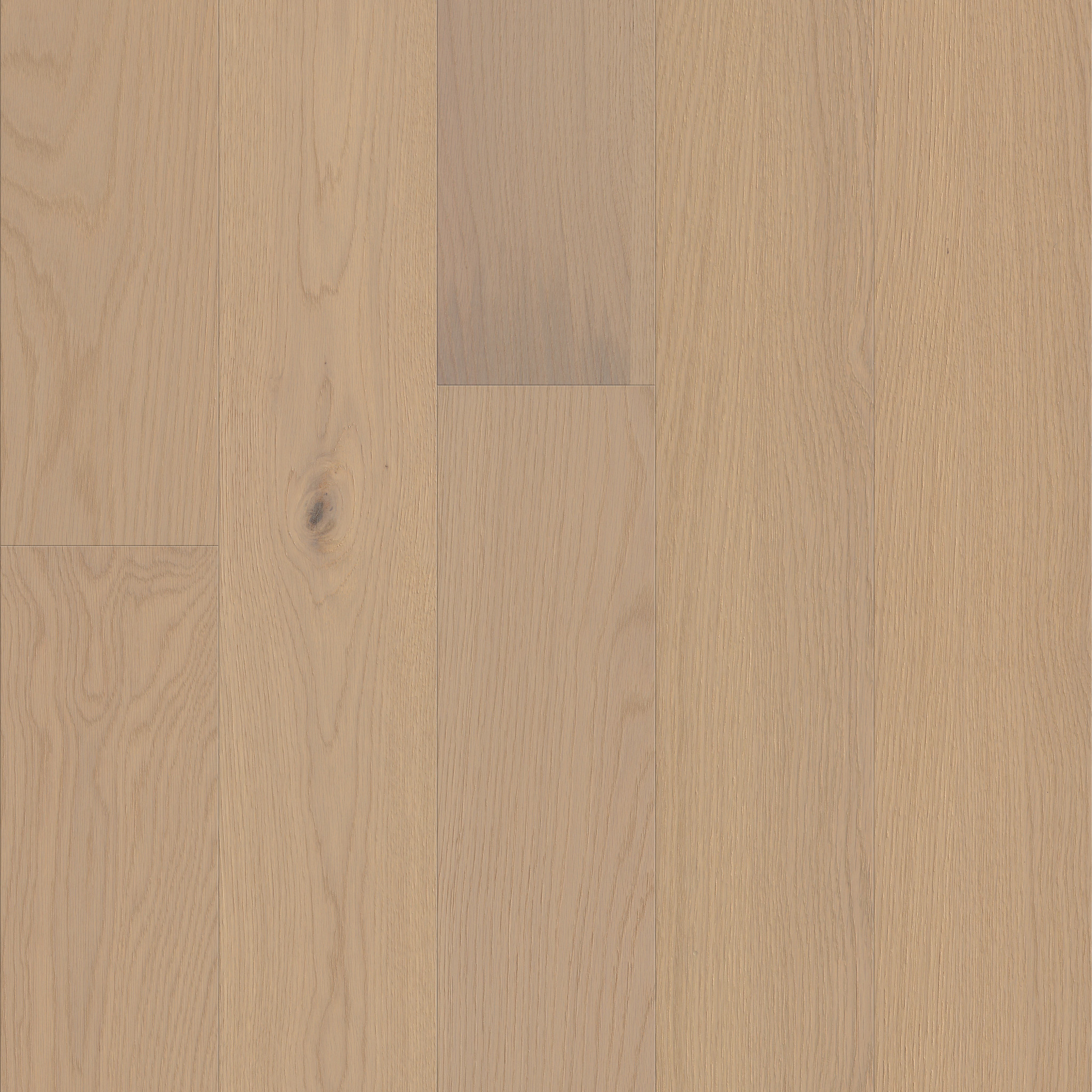 LIBERTY OAK ANTHEM MAIN