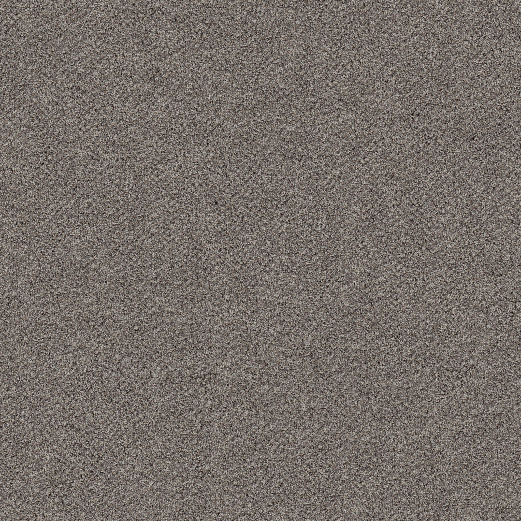 BREAK FREE OYSTER MAIN