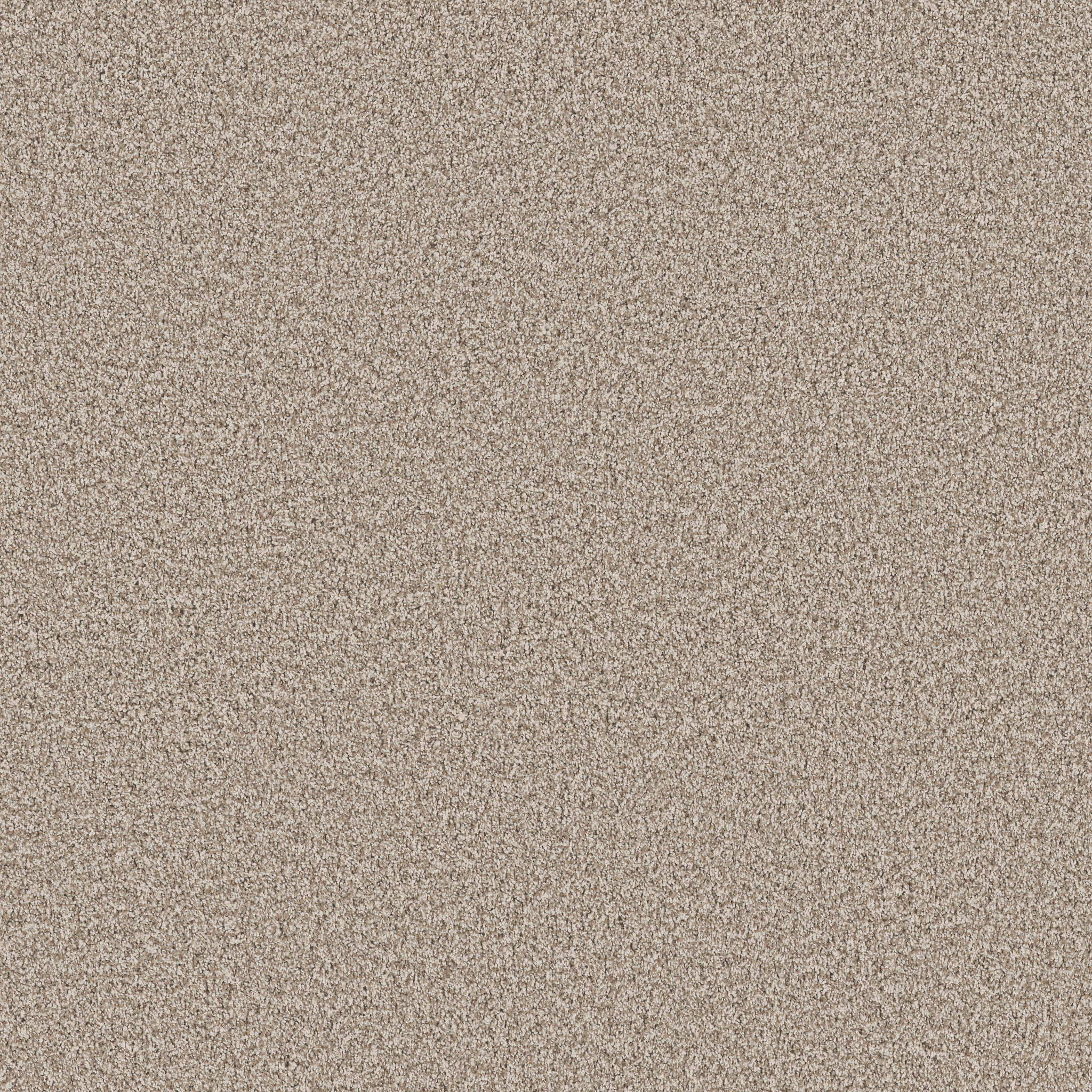 BOSSA NOVA SPUN COTTON MAIN